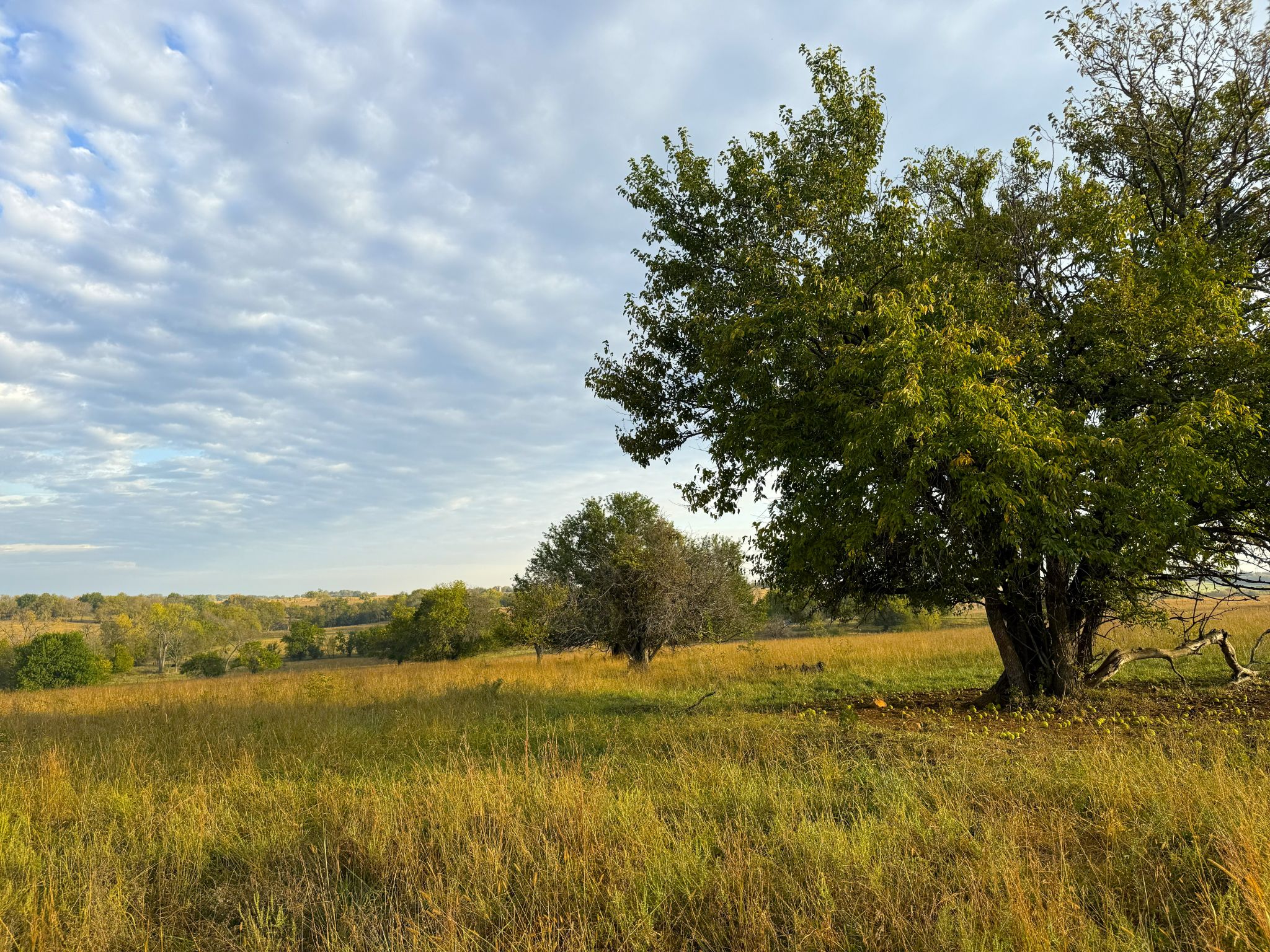 Tract 8 20251015_133526521_iOS