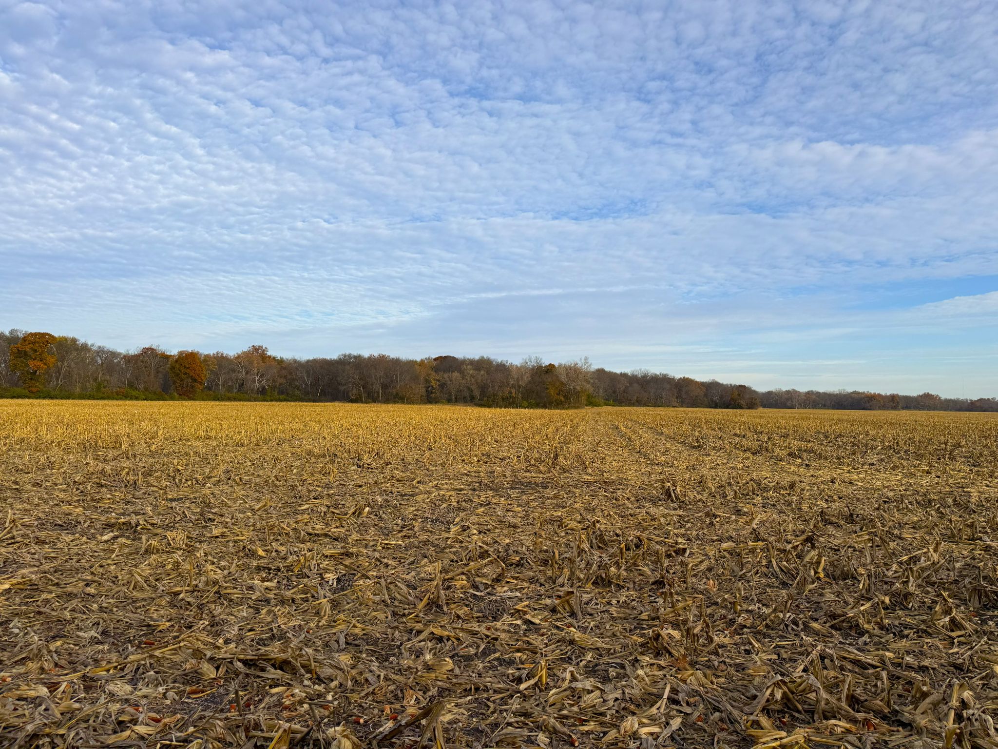 E1135Rd 20251113_144216829_iOS