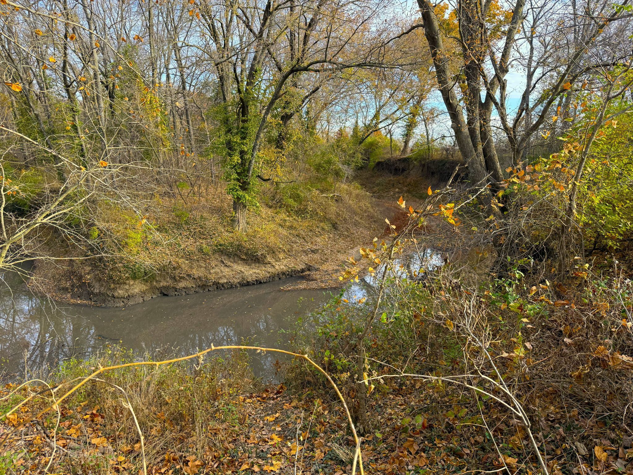 E1135Rd 20251113_144609382_iOS