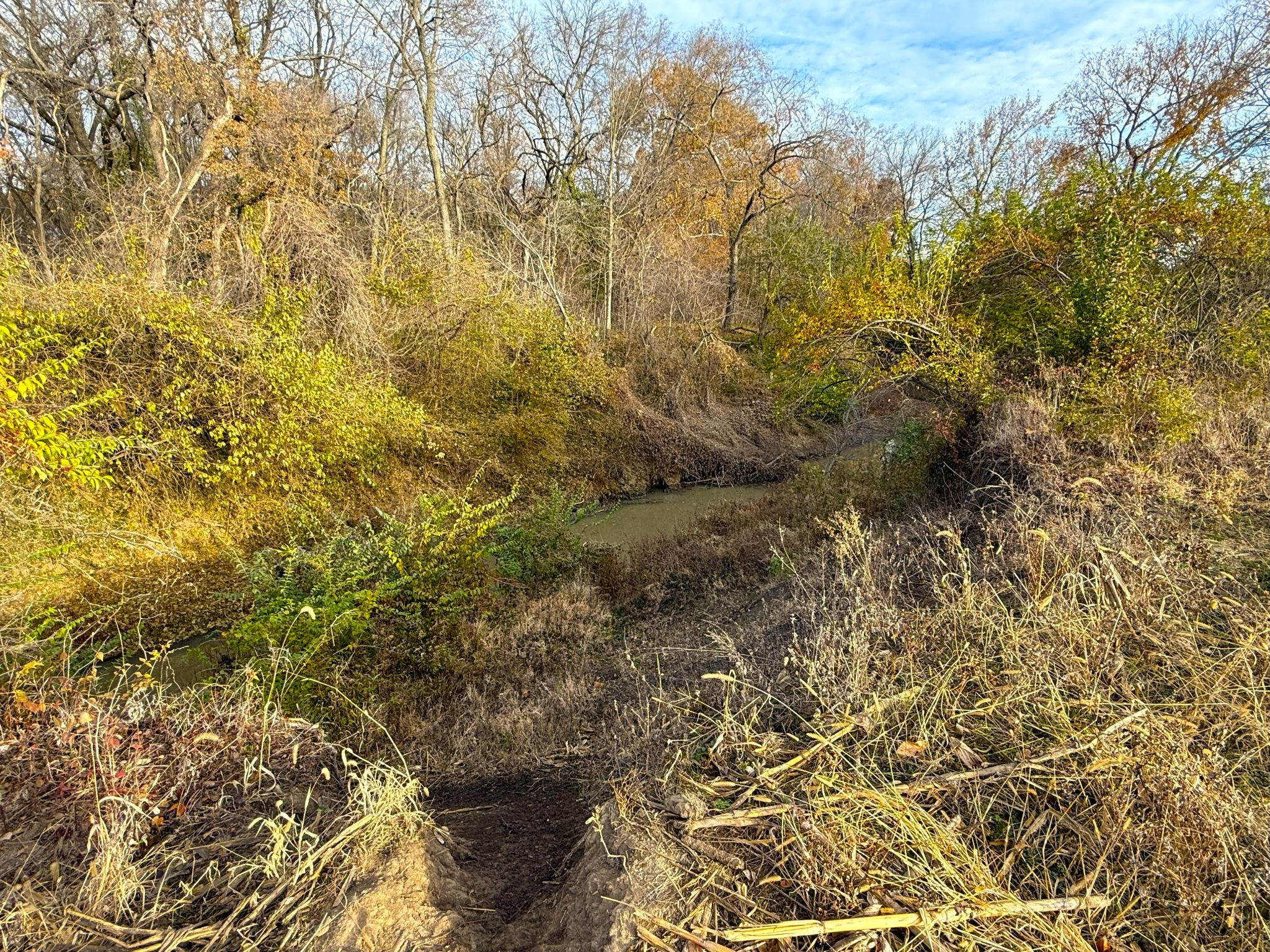 E1135Rd 20251113_144854484_iOS