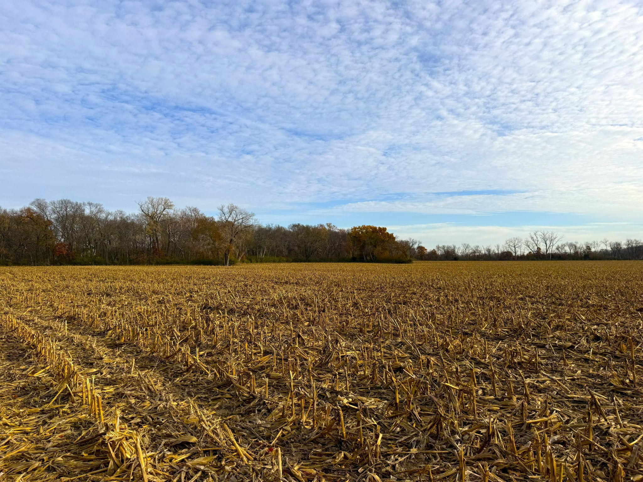 E1135Rd 20251113_145117276_iOS