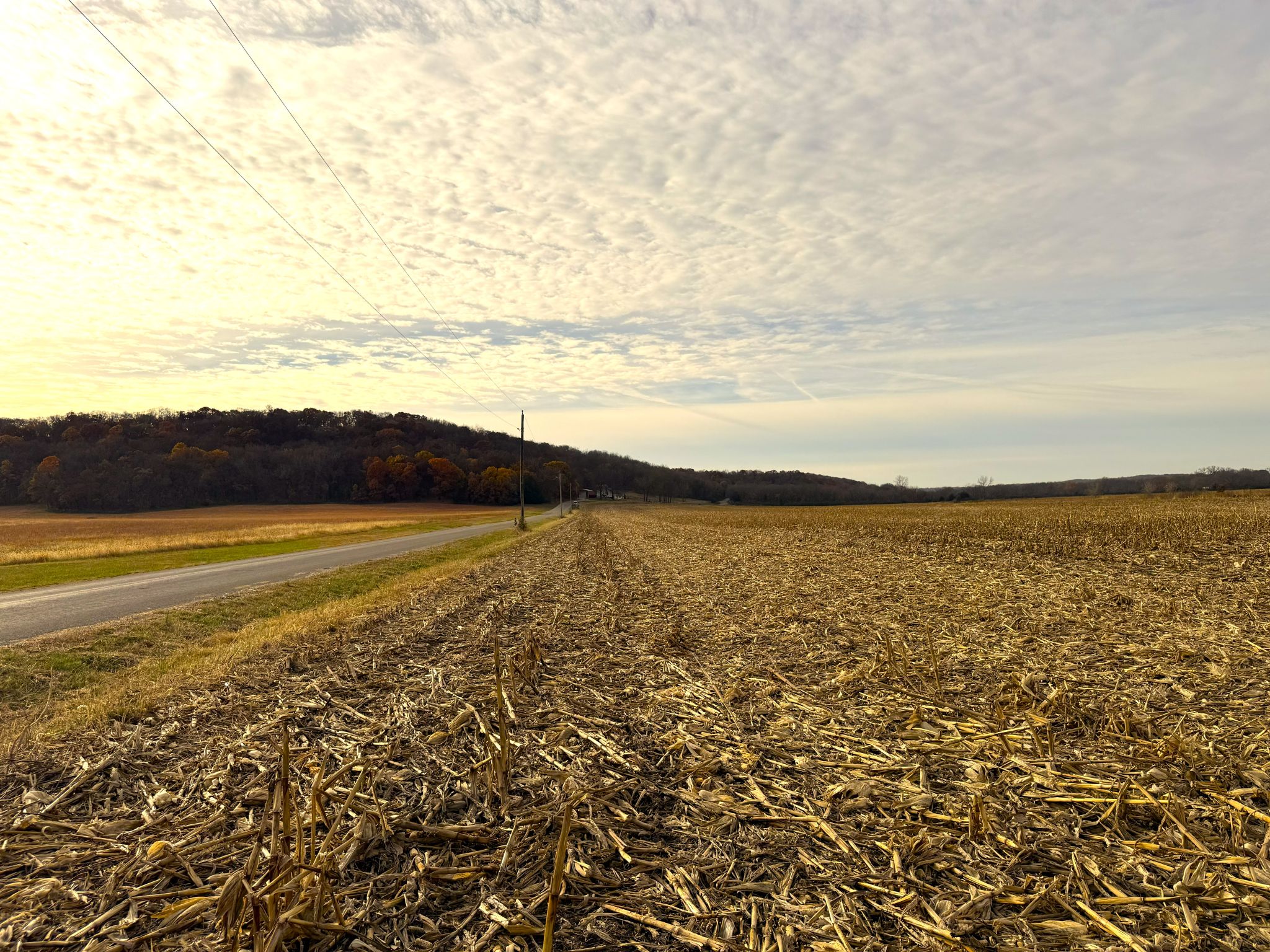 E1135Rd 20251113_145959077_iOS