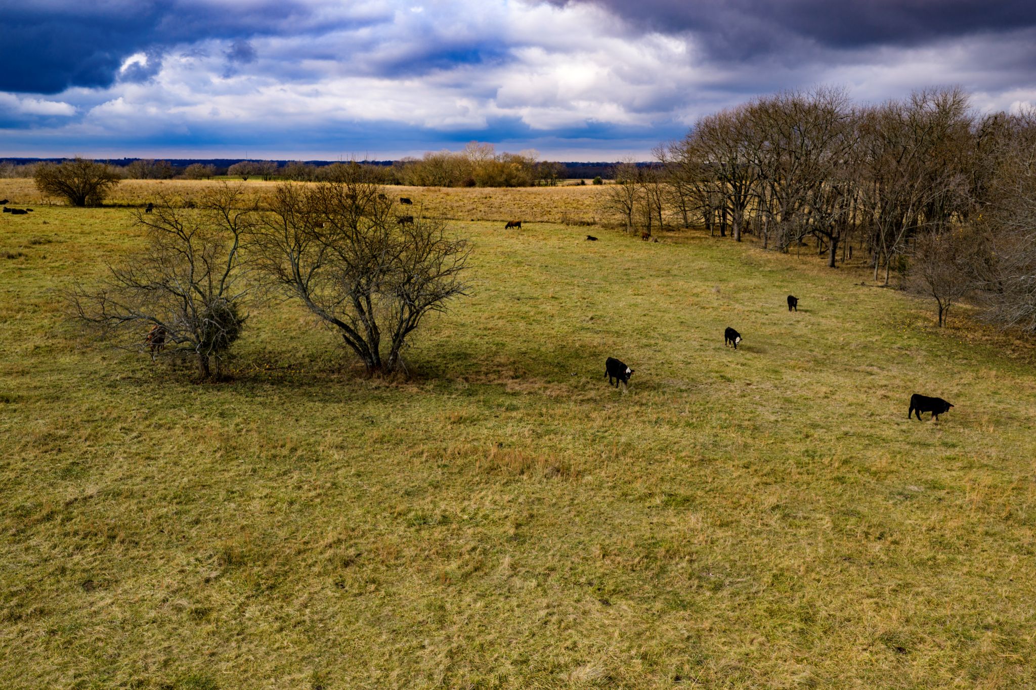 Heck Heartland Reserve POST_30