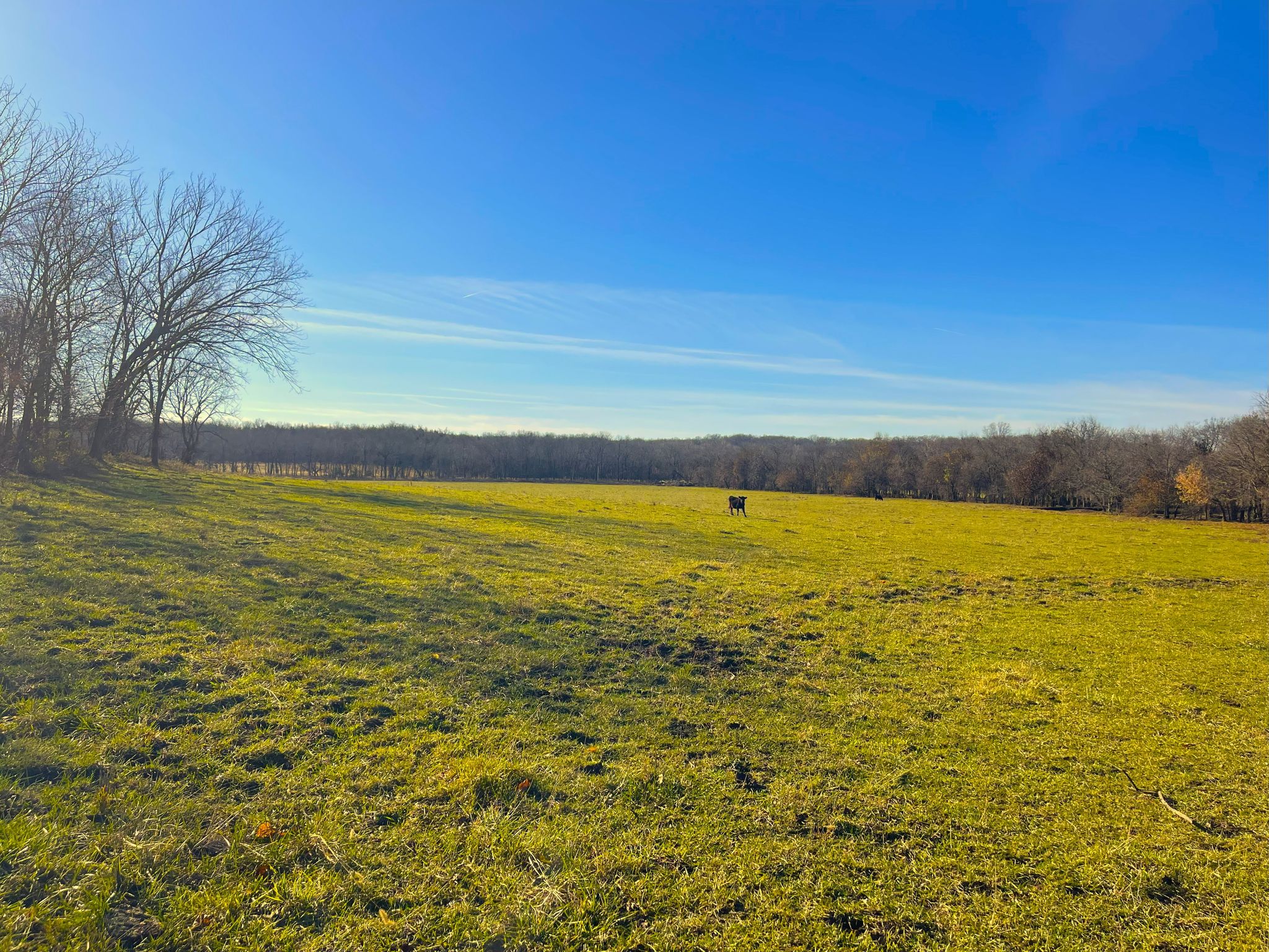 Heck Miami Ground 20251126_161028901_iOS