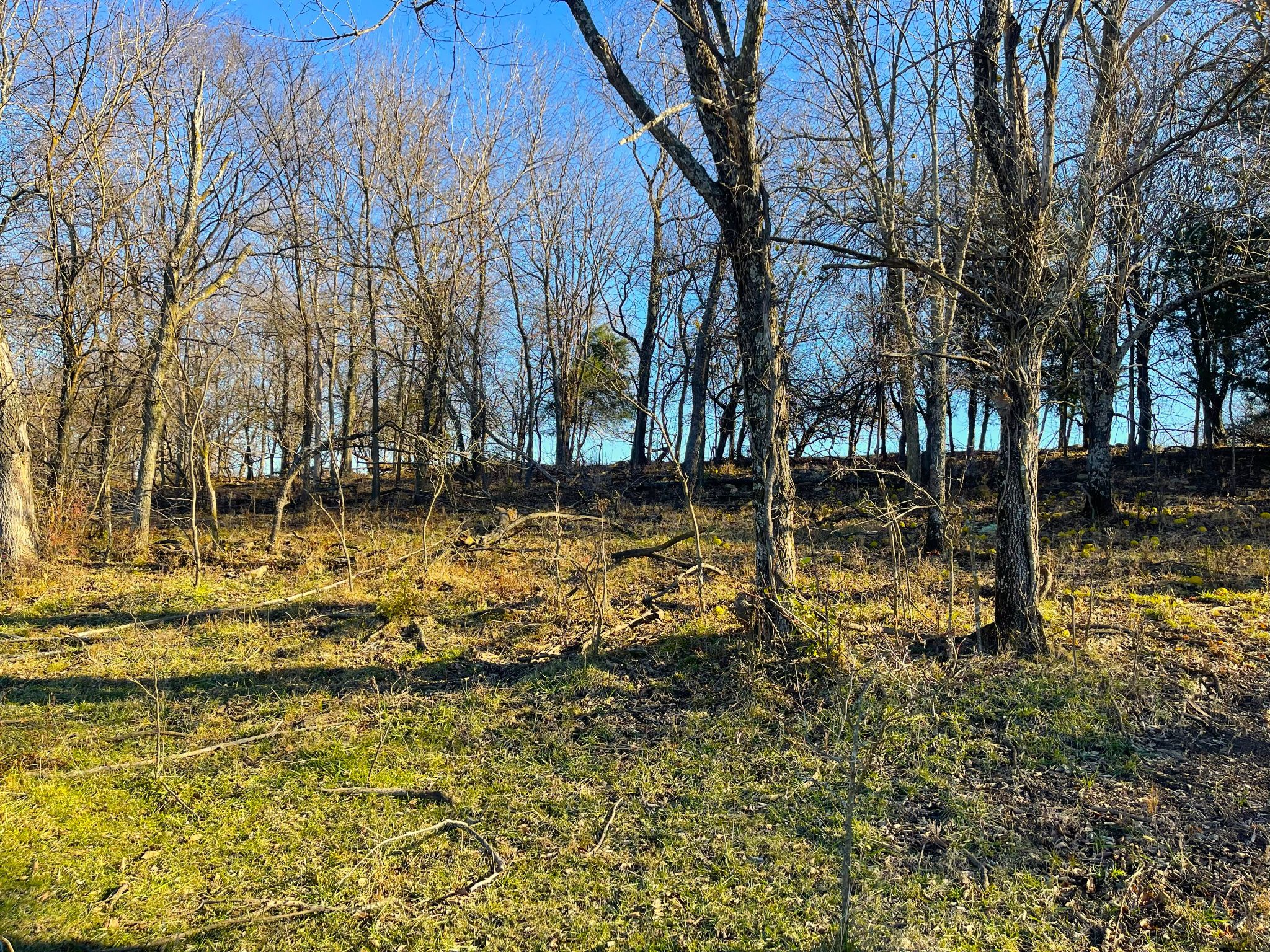 Heck Miami Ground 20251126_161111289_iOS