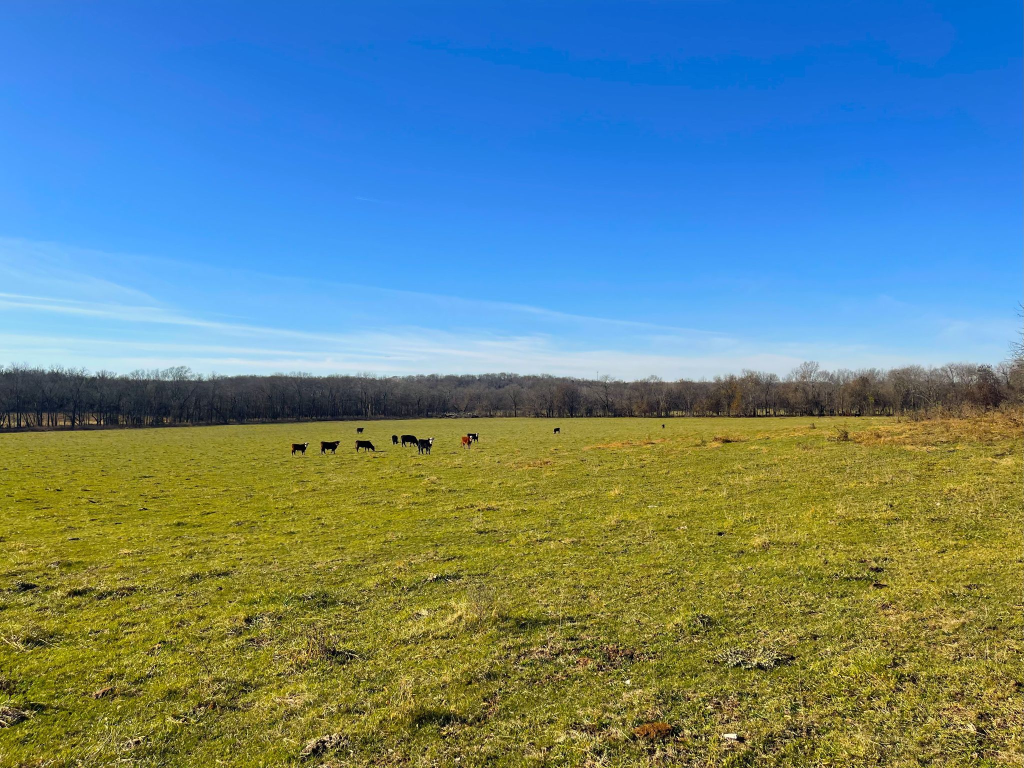 Heck Miami Ground 20251126_161244512_iOS