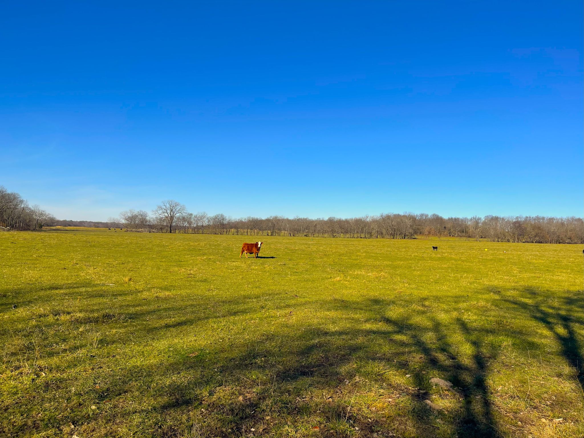 Heck Miami Ground 20251126_161631574_iOS