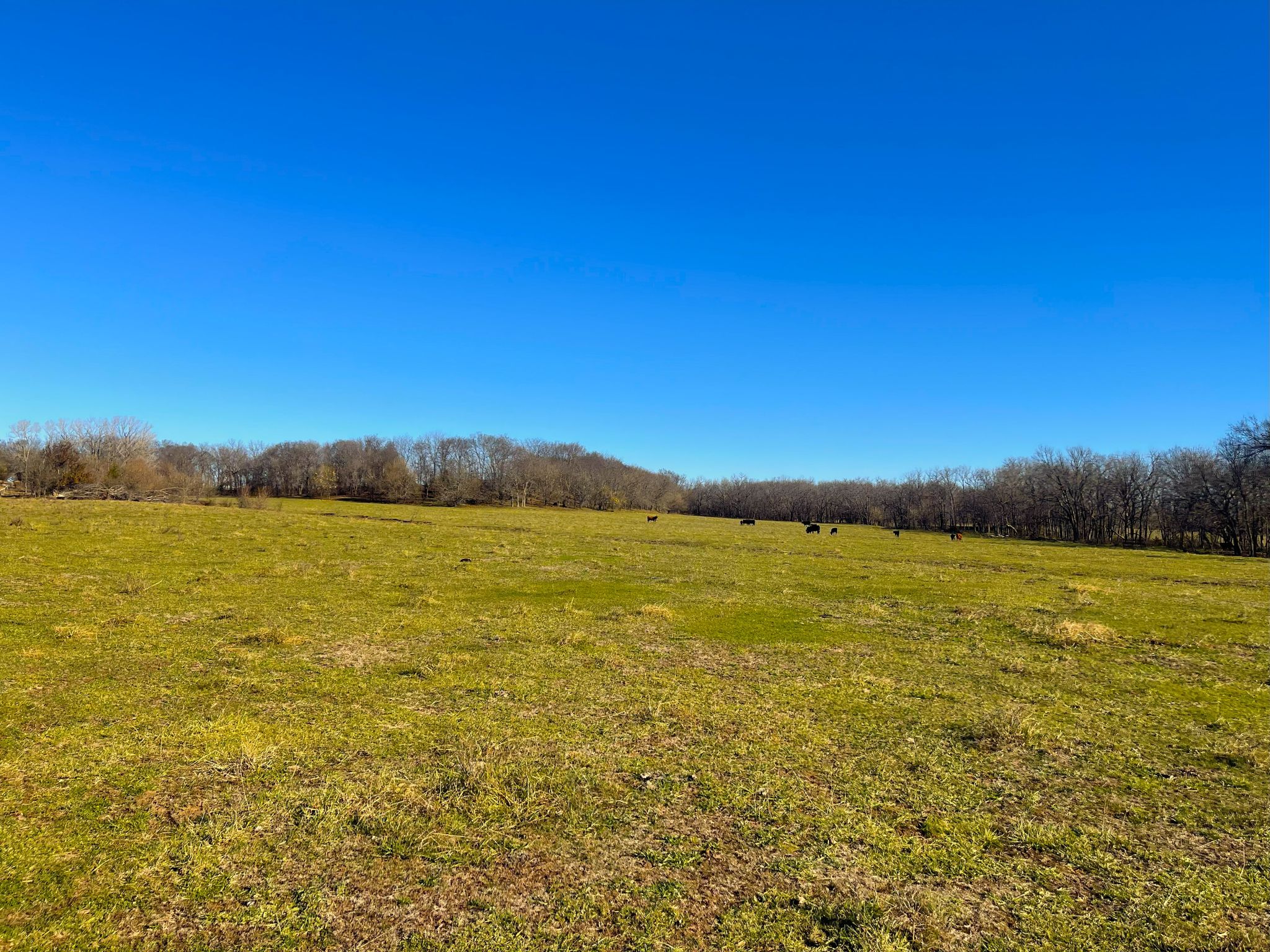 Heck Miami Ground 20251126_162142205_iOS