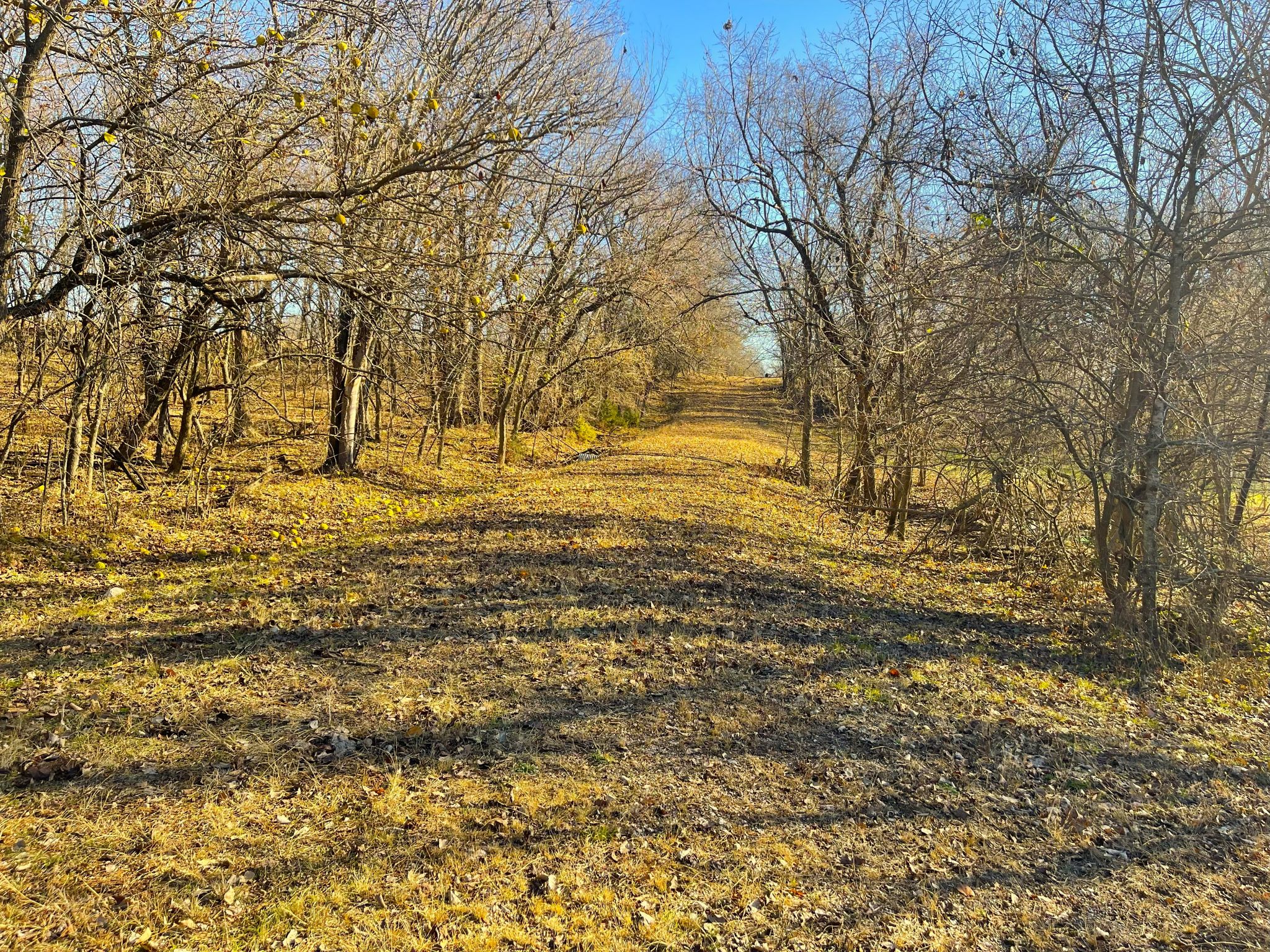 Heck Miami Ground 20251126_162431767_iOS