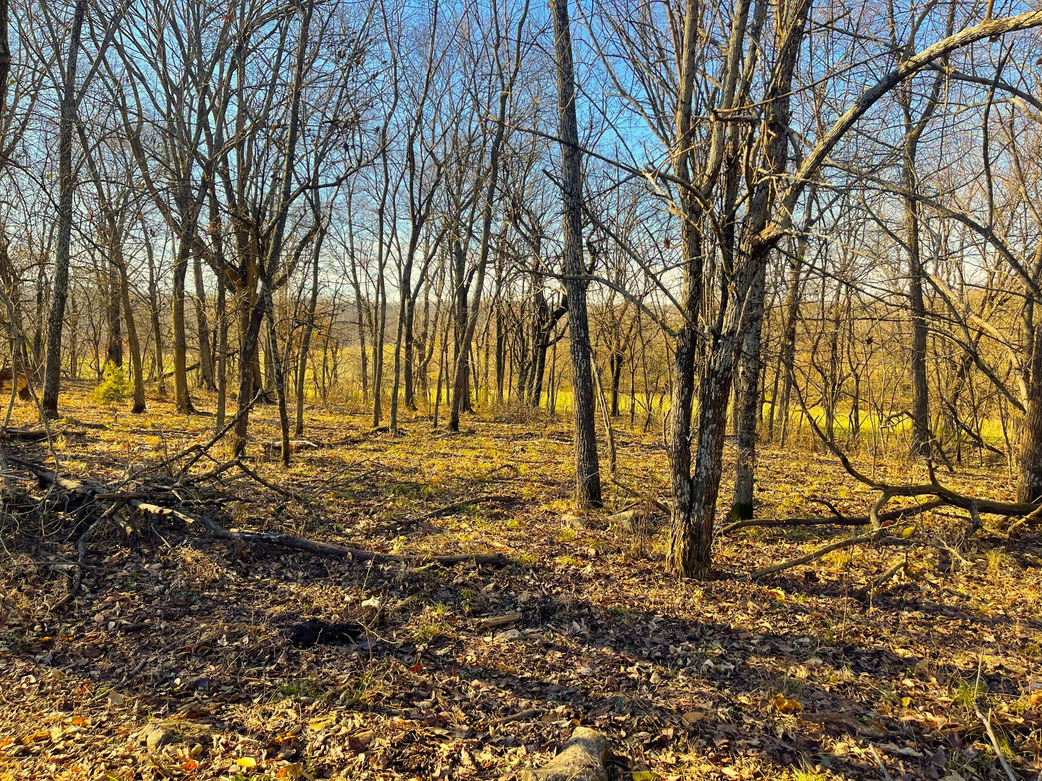 Heck Miami Ground 20251126_162653153_iOS