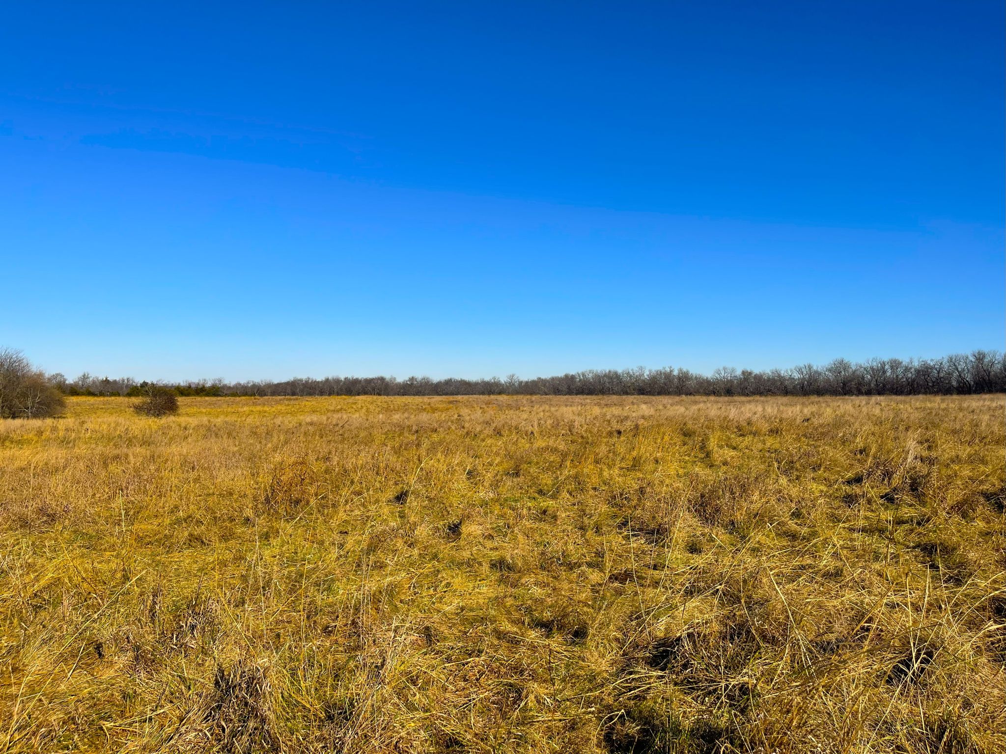 Heck Miami Ground 20251126_163025356_iOS