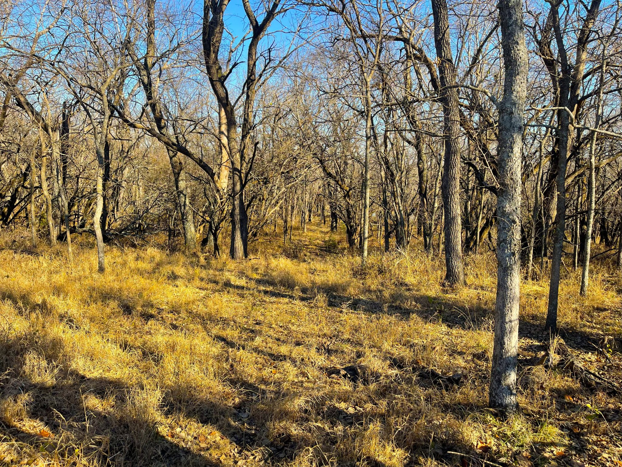 Heck Miami Ground 20251126_163642034_iOS