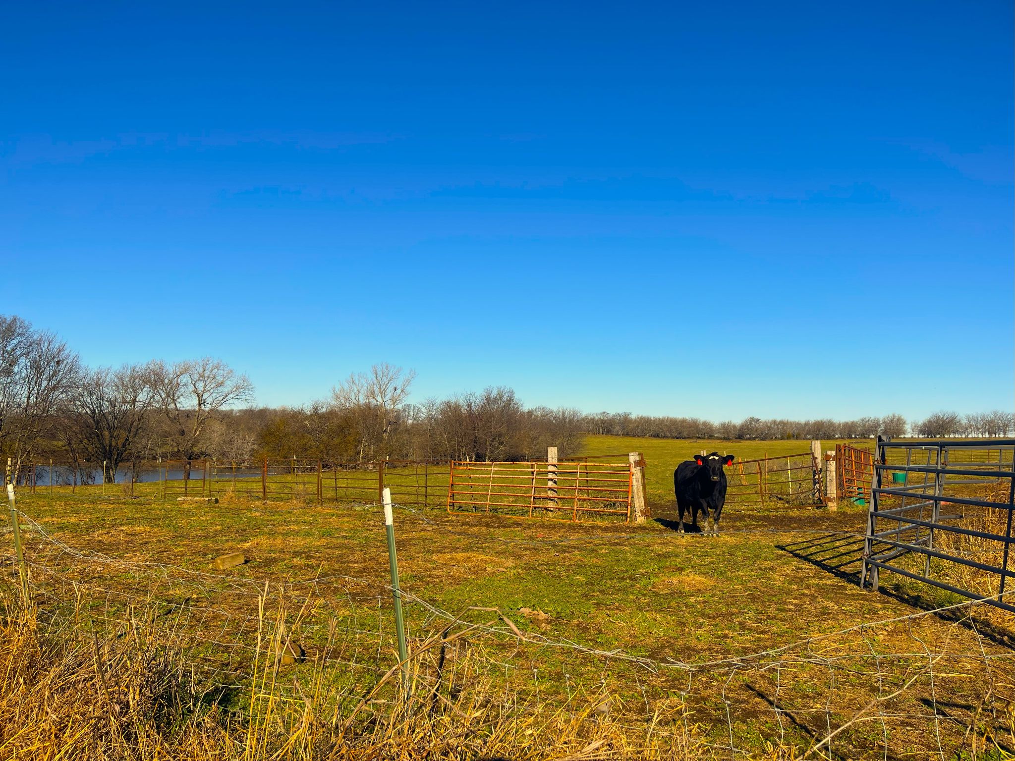 Heck_ Miami Ground 20251126_160807924_iOS