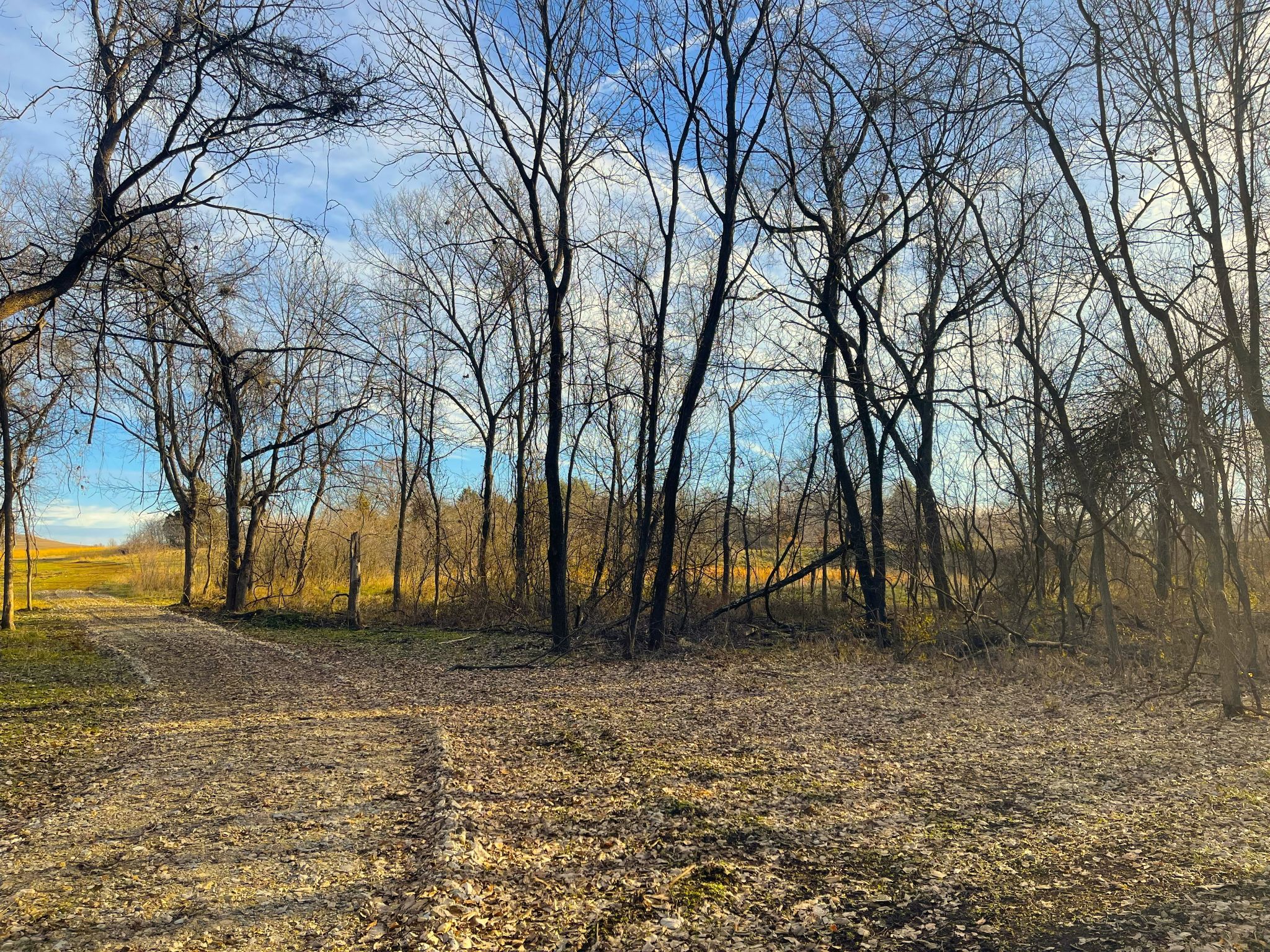 Pinehurst 27 20251211_150934373_iOS