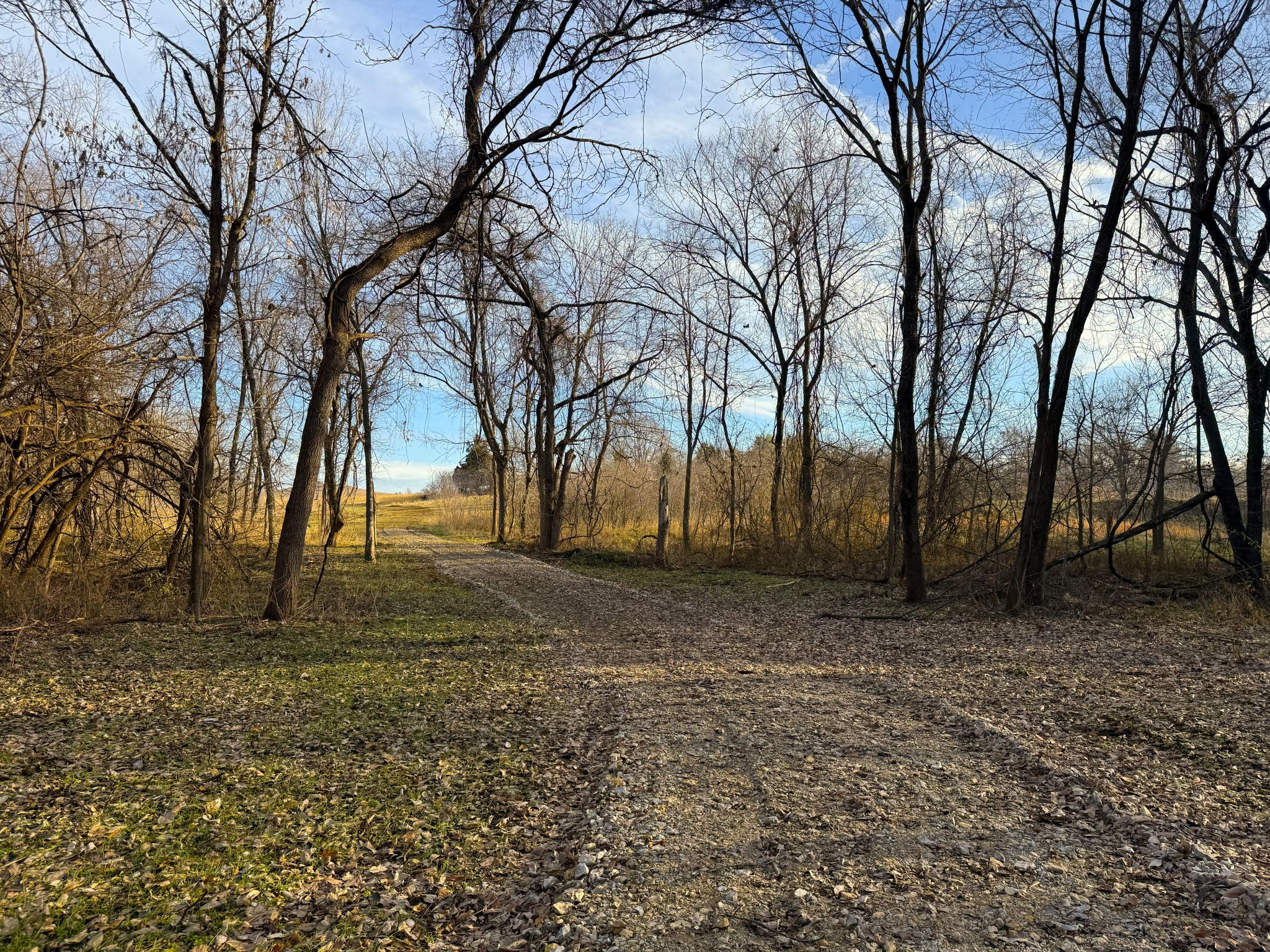 Pinehurst 27 20251211_150944307_iOS