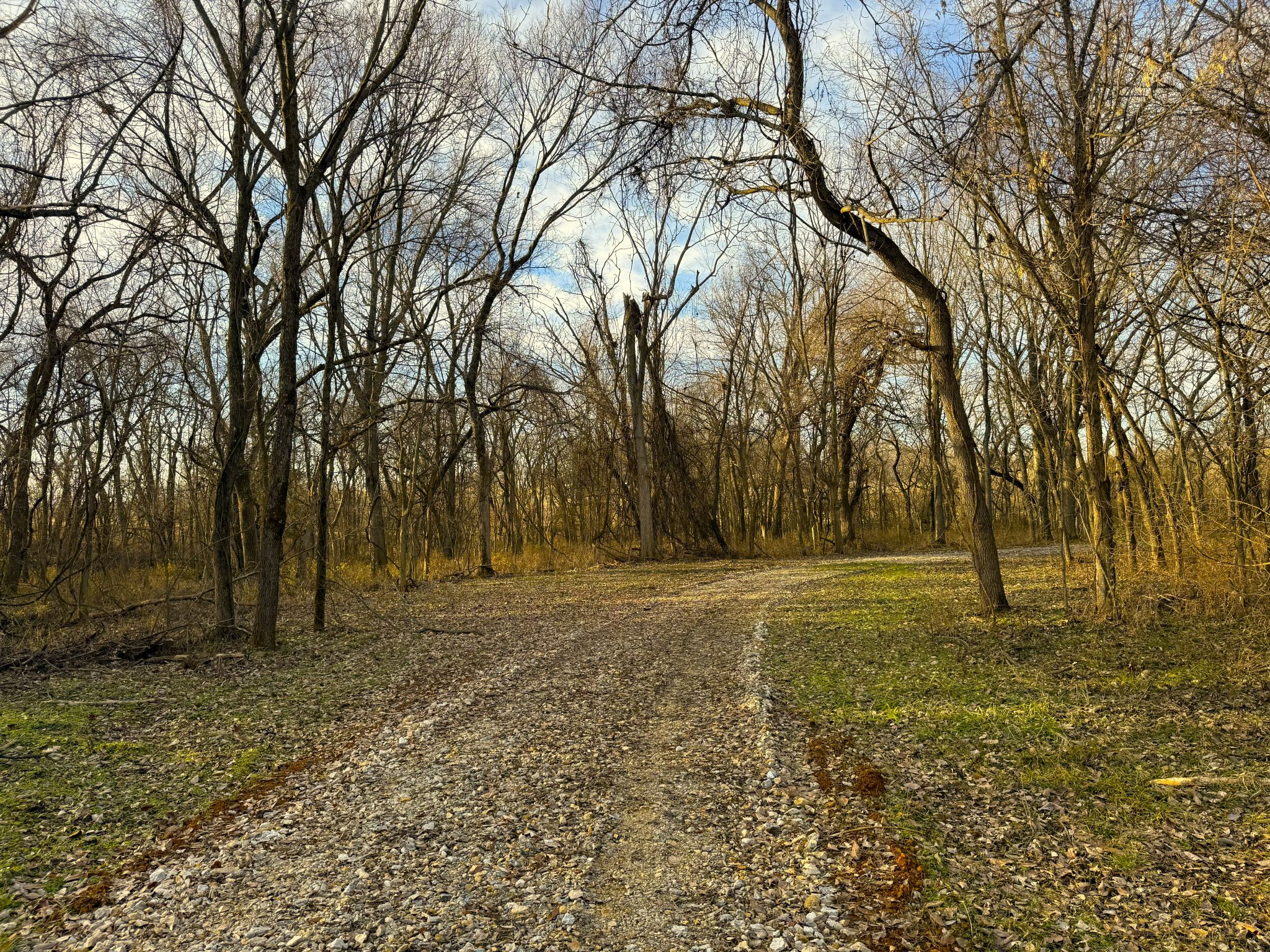 Pinehurst 27 20251211_151044925_iOS