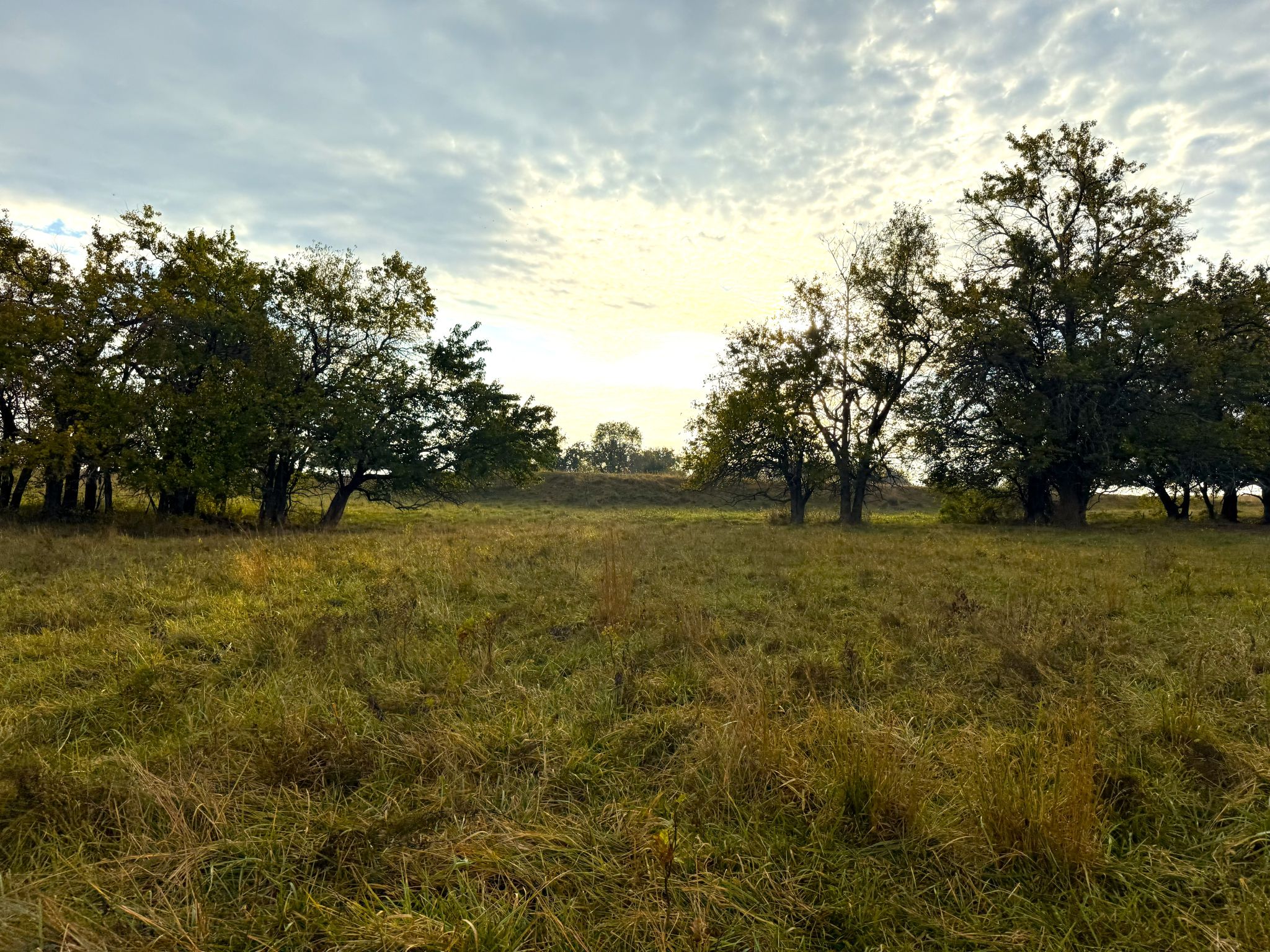 Stone Ridge Tract 6 20251015_133953131_iOS