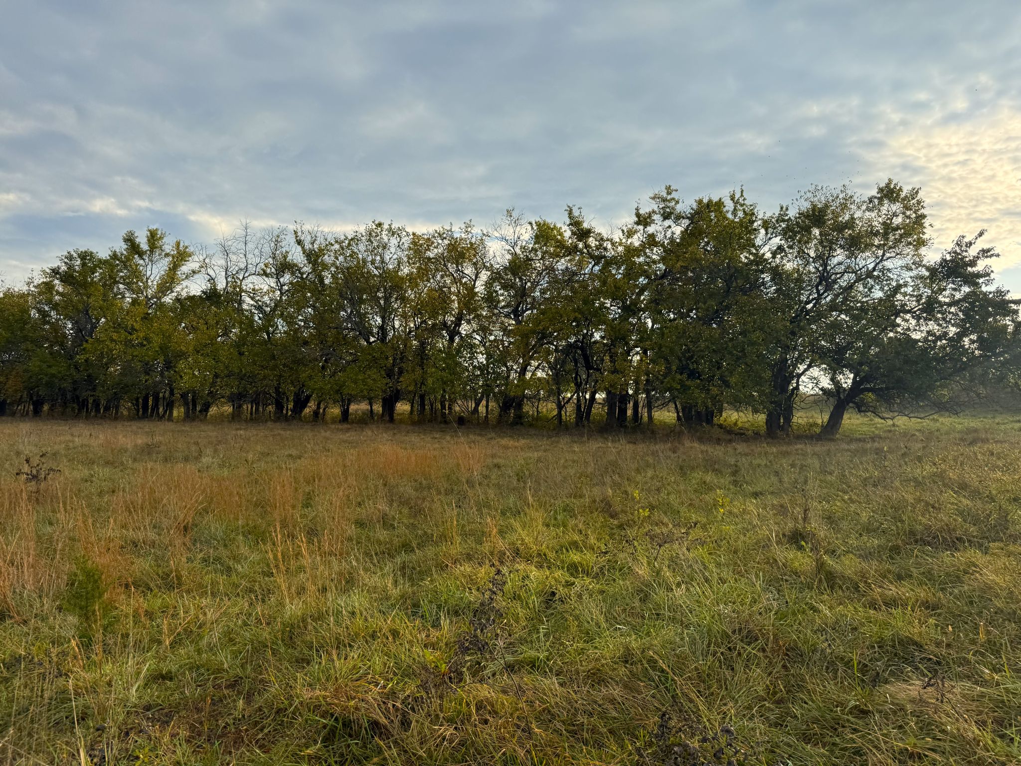 Stone Ridge Tract 6 20251015_133955236_iOS