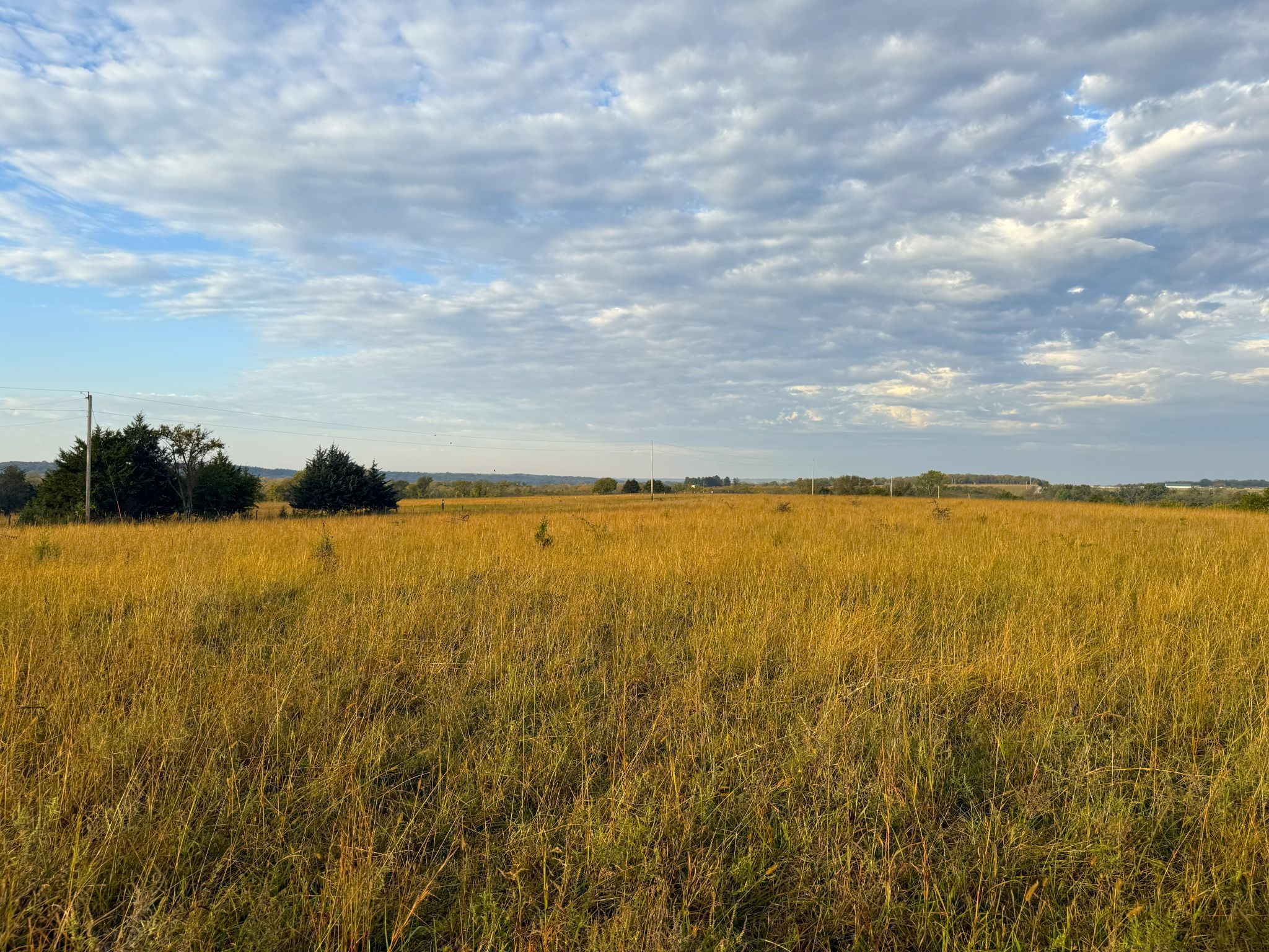 Stone Ridge Tract 7 20251015_133605752_iOS