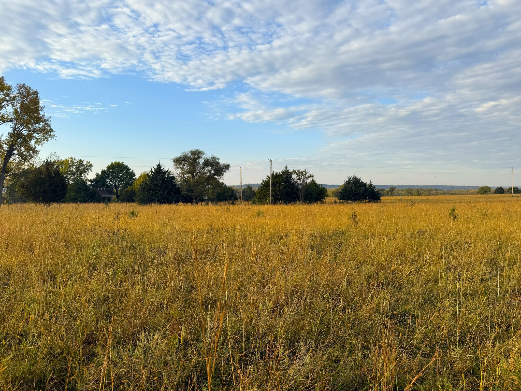 Stone Ridge Tract 7 20251015_133607440_iOS