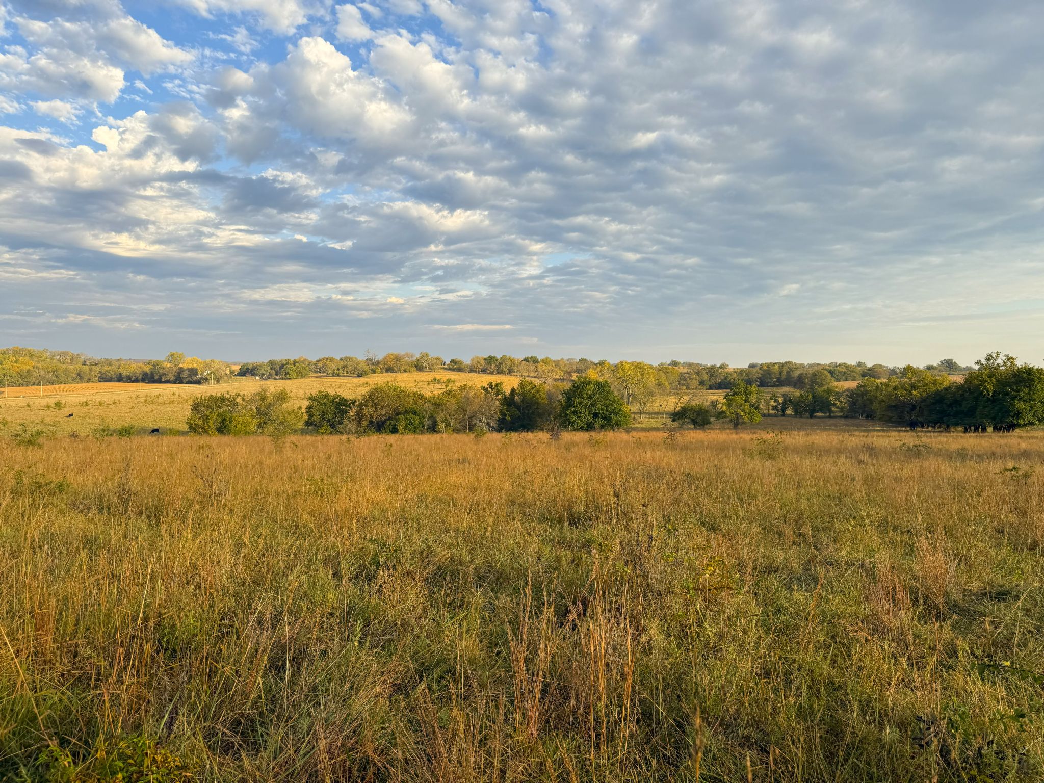 Stone Ridge Tract 7 20251015_133639783_iOS