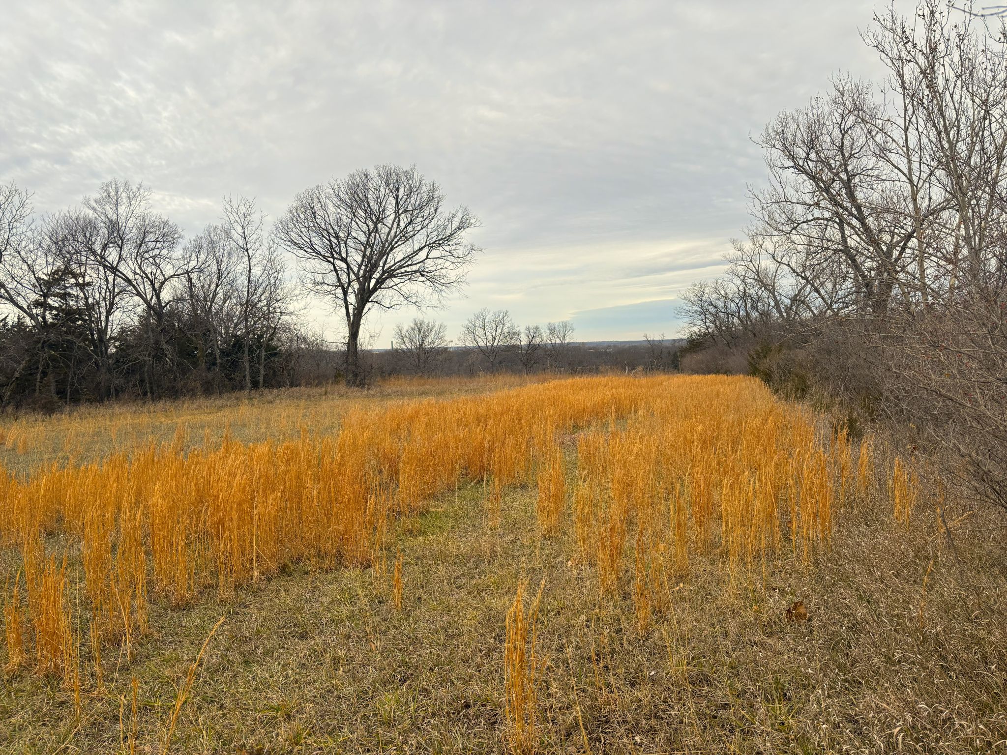 Tract 1 20251211_165055522_iOS