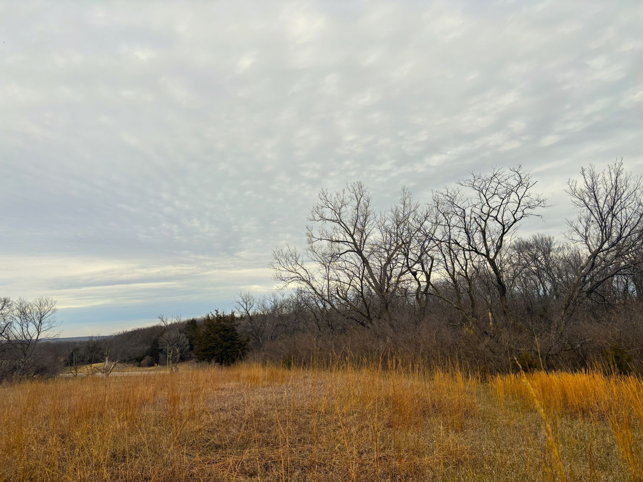 Tract 1 20251211_165211226_iOS