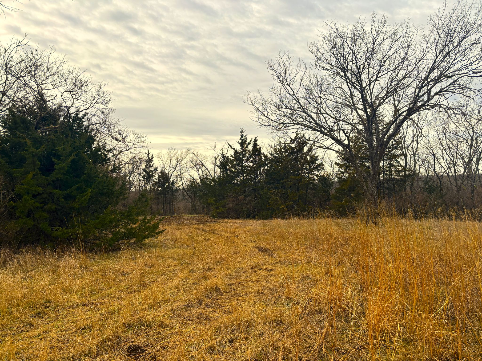 Tract 1 20251211_165219185_iOS