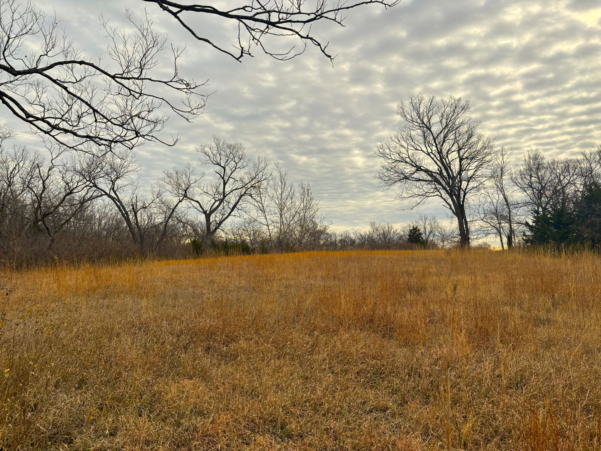 Tract 1 20251211_165258196_iOS