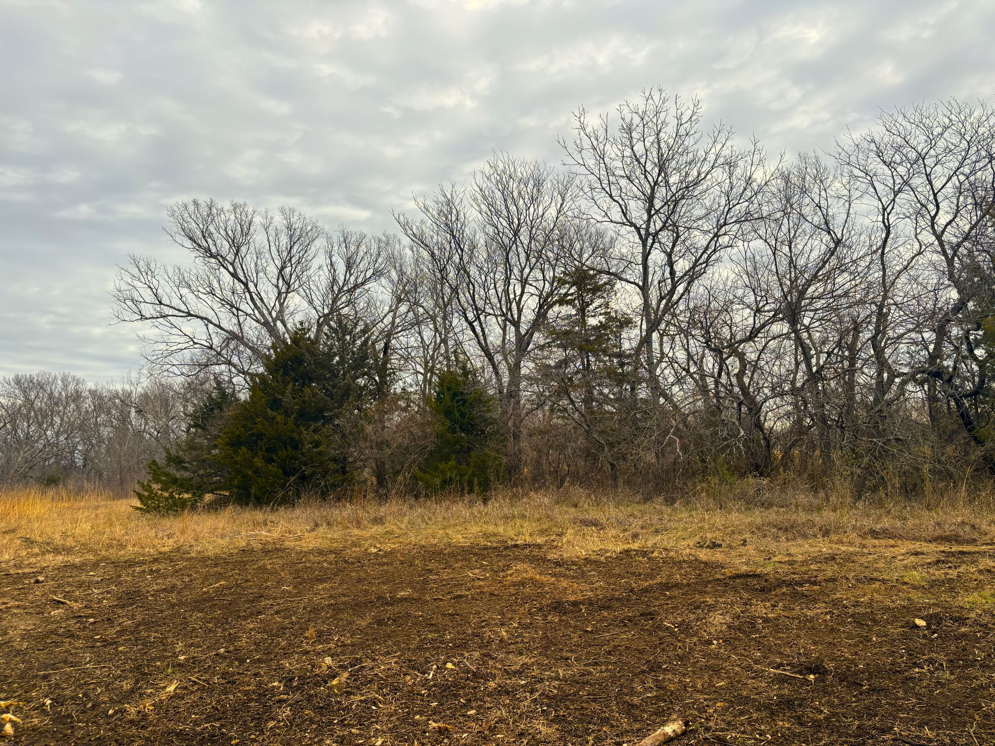 Tract 1 20251211_165406518_iOS