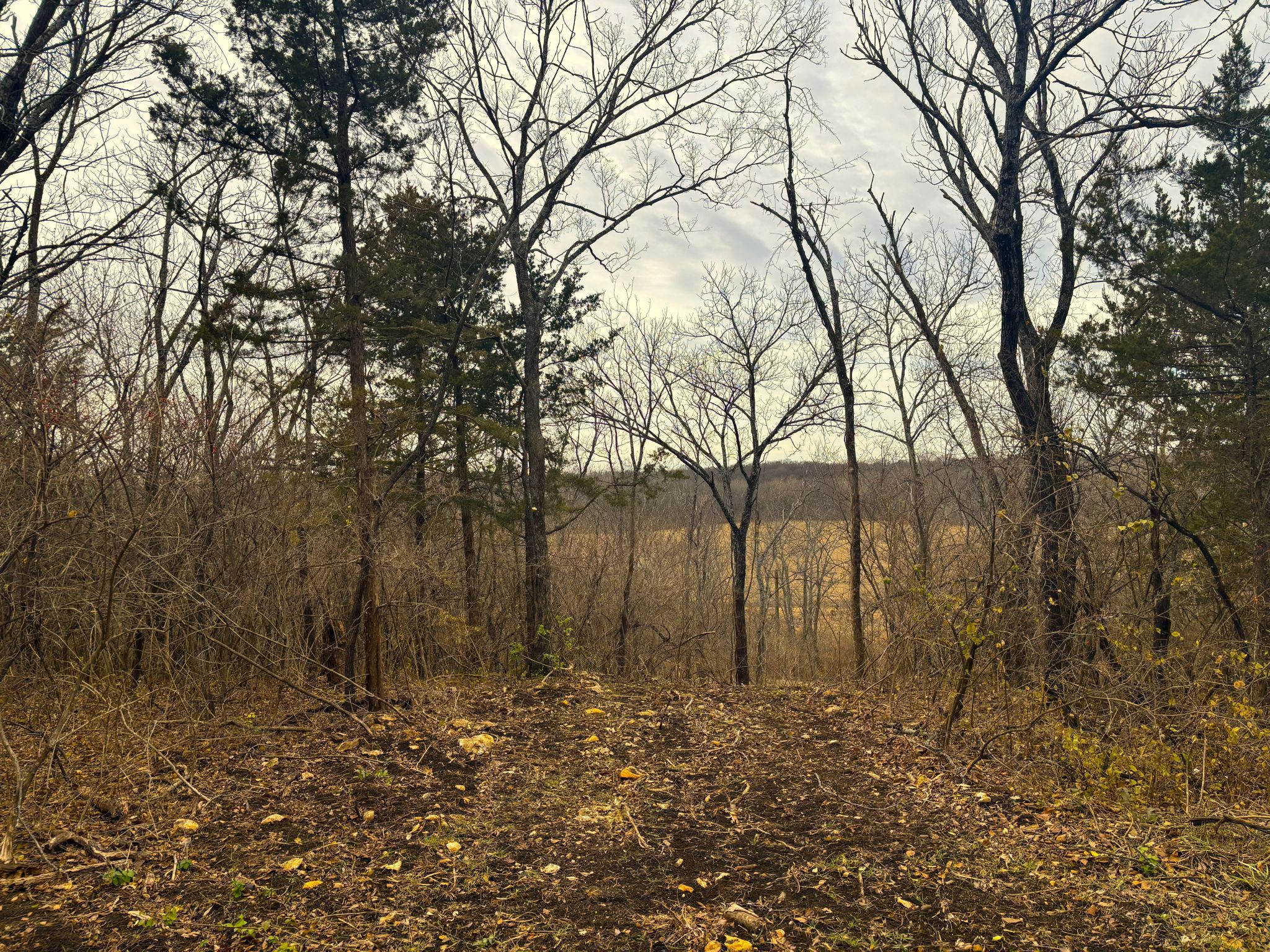 Tract 2 20251211_165430612_iOS