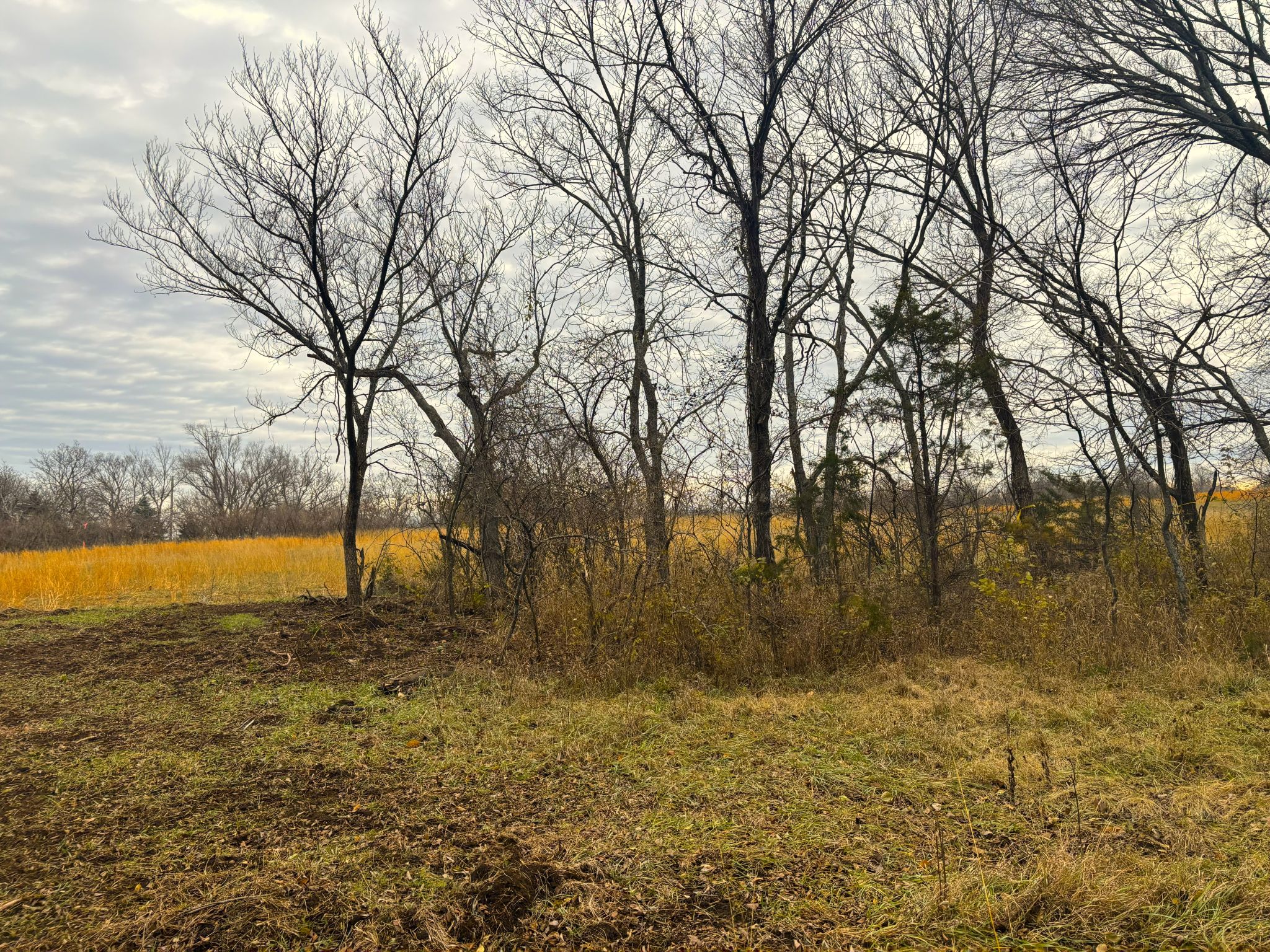 Tract 2 20251211_165521720_iOS