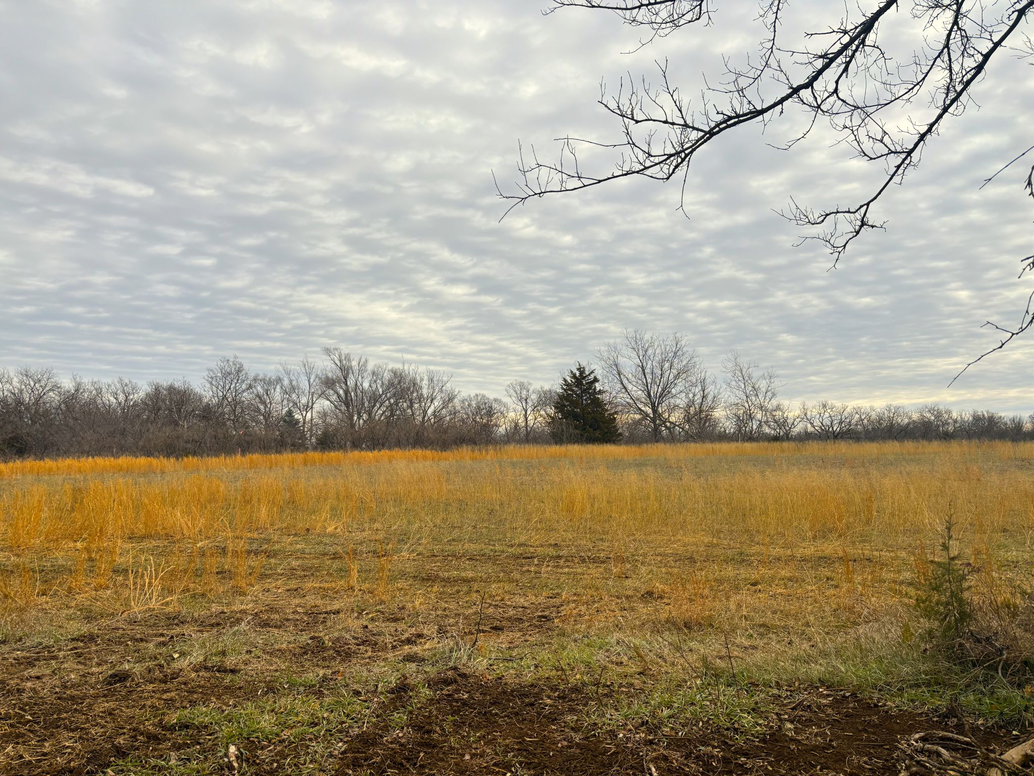 Tract 2 20251211_165533910_iOS