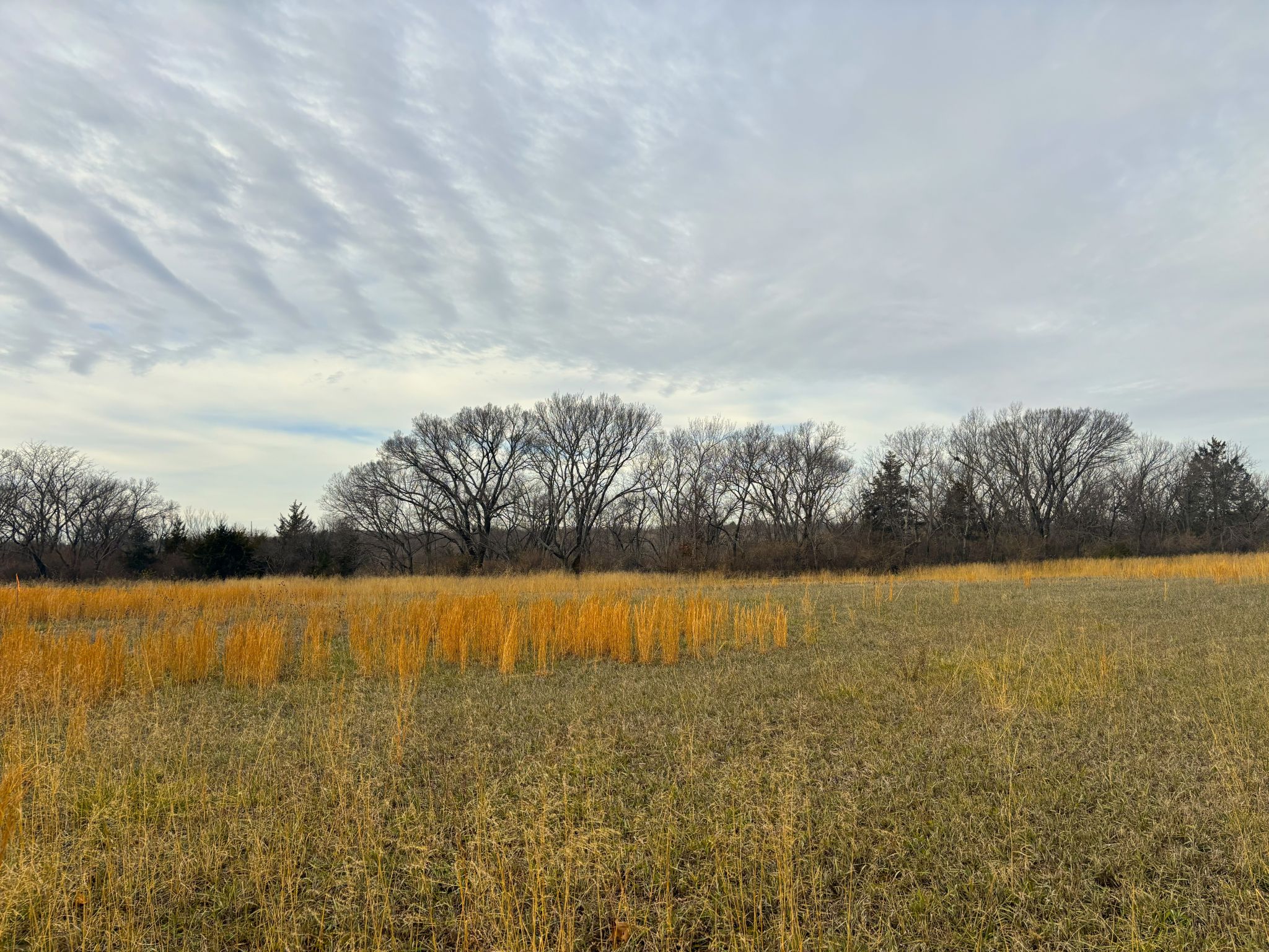 Tract 2 20251211_165750528_iOS