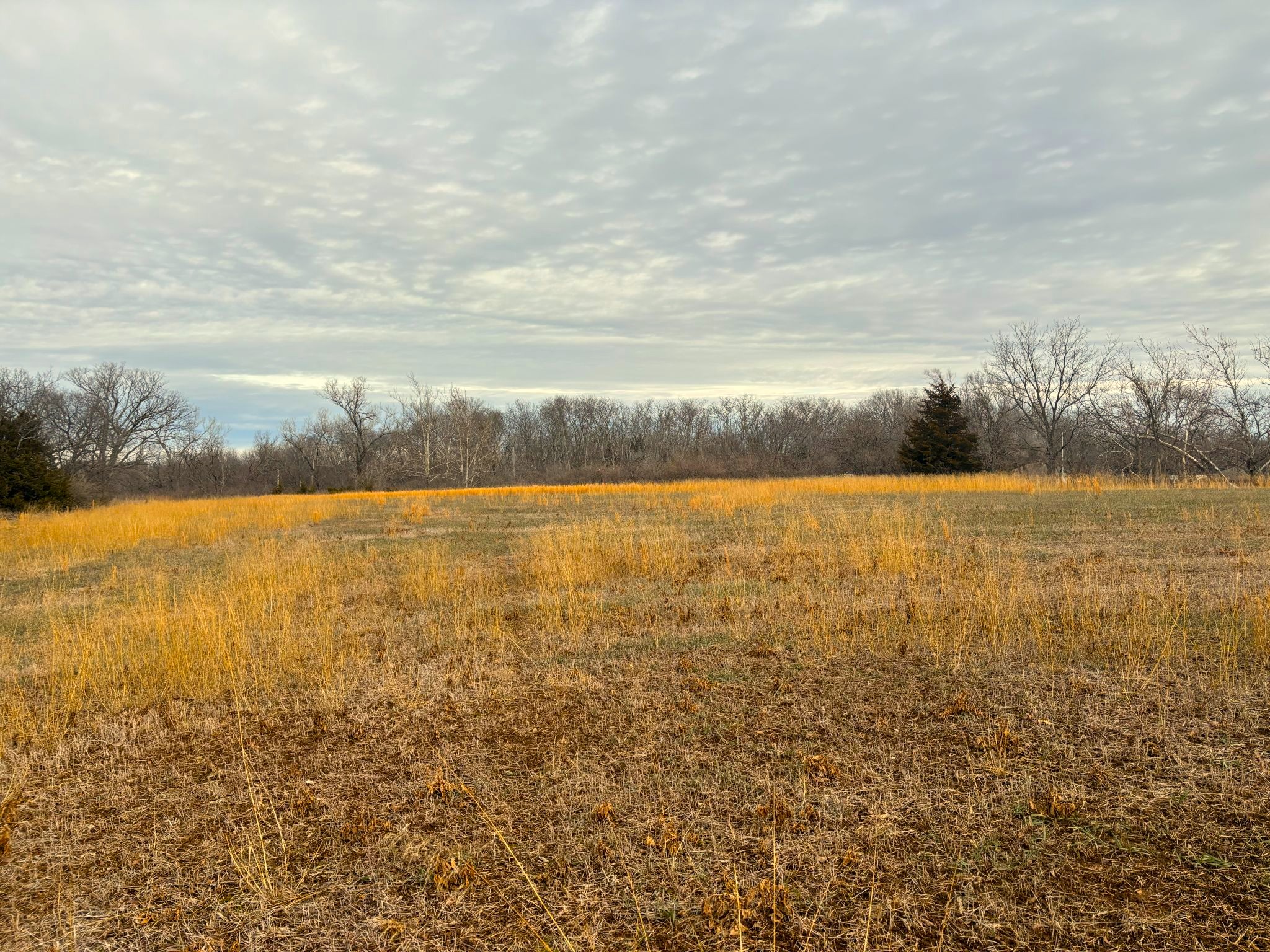 Tract 2 20251211_165850900_iOS