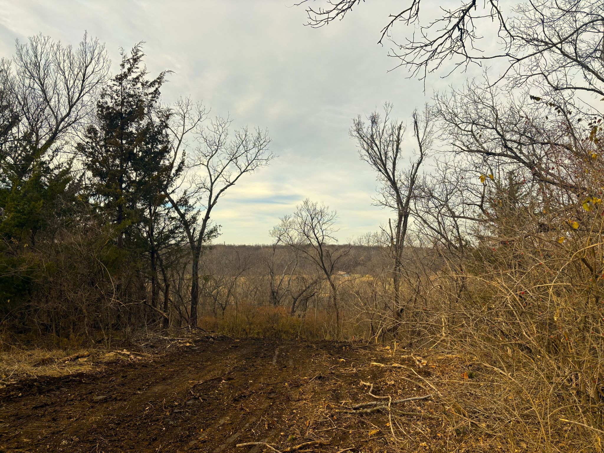 Tract 3 20251211_170034698_iOS