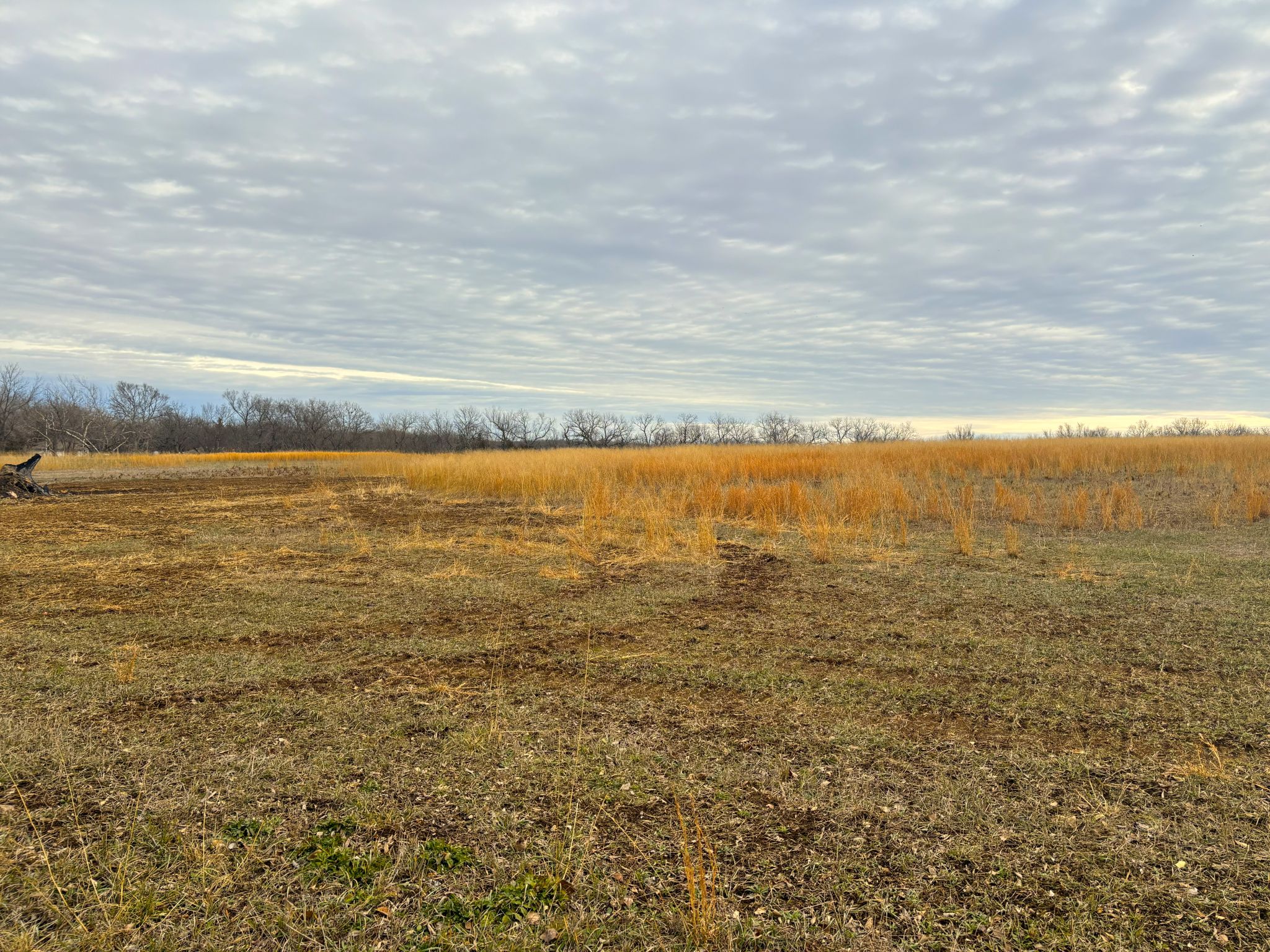 Tract 3 20251211_170142120_iOS