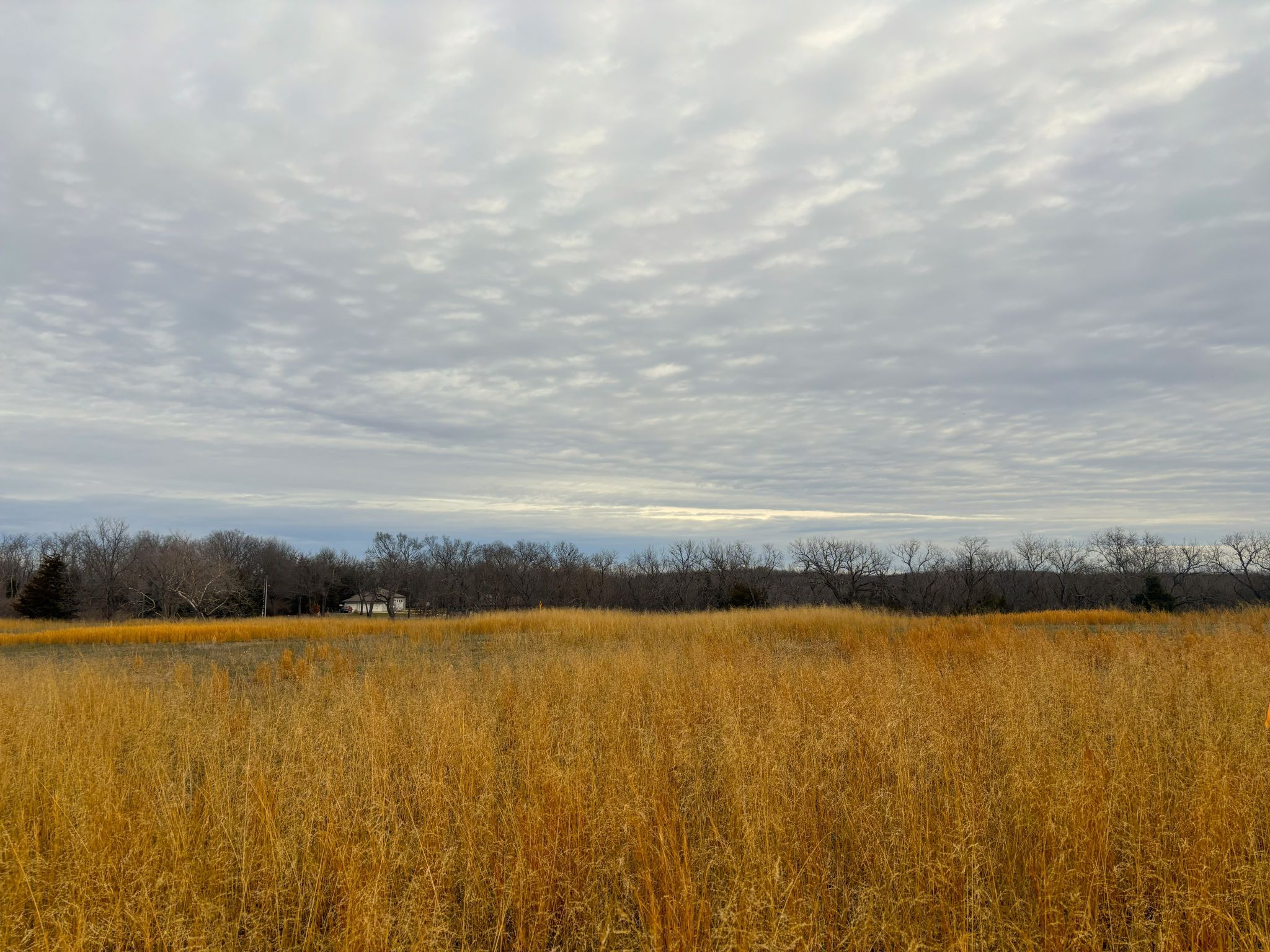 Tract 3 20251211_170223925_iOS