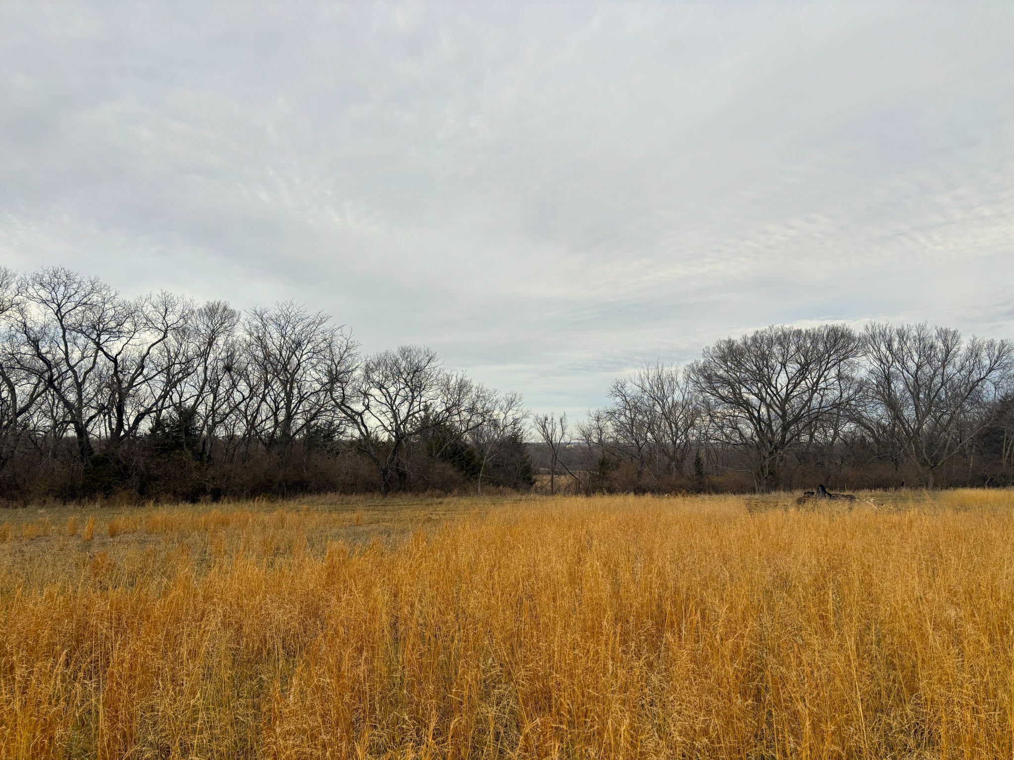 Tract 3 20251211_170227672_iOS