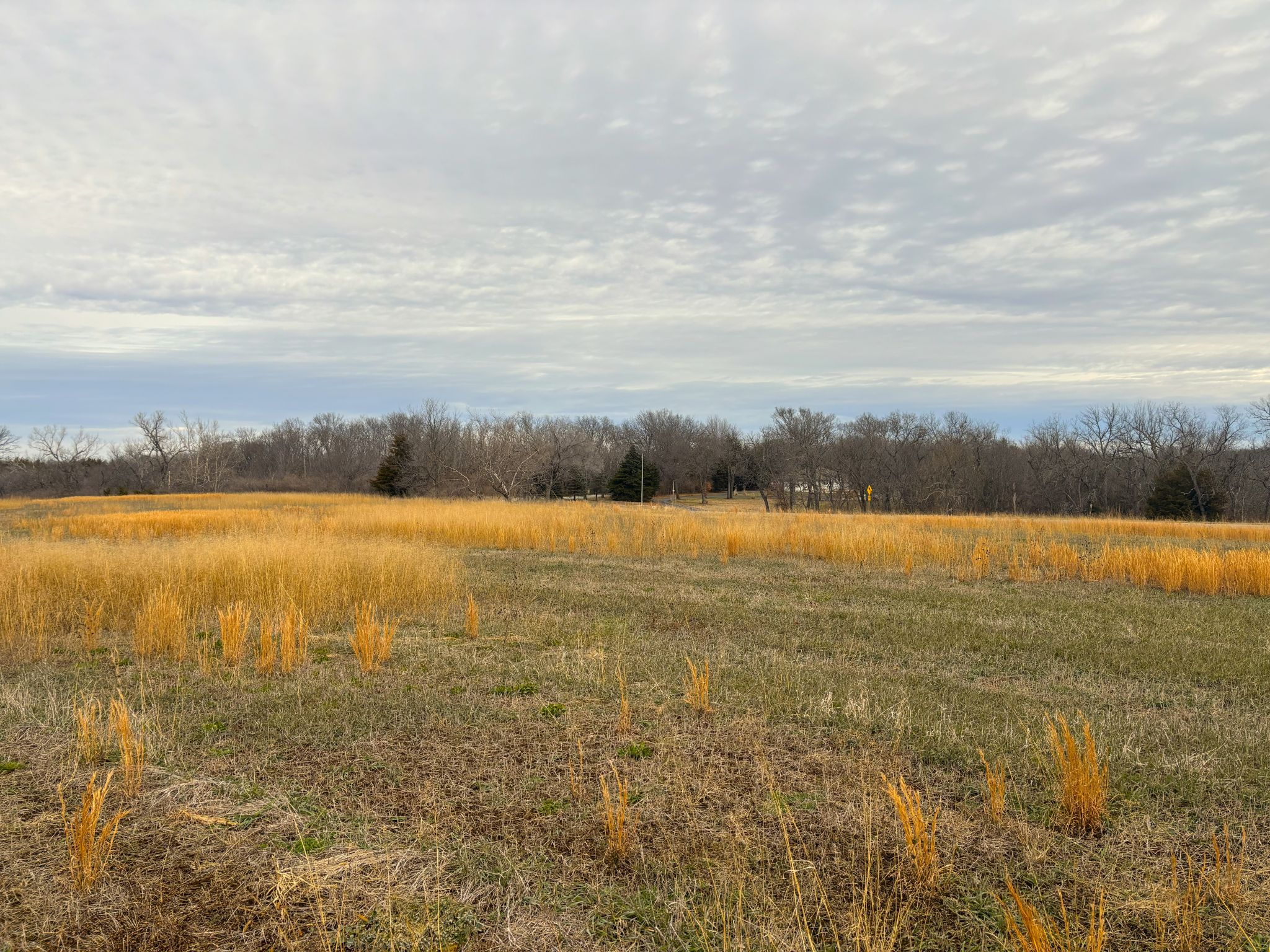 Tract 3 20251211_170254906_iOS