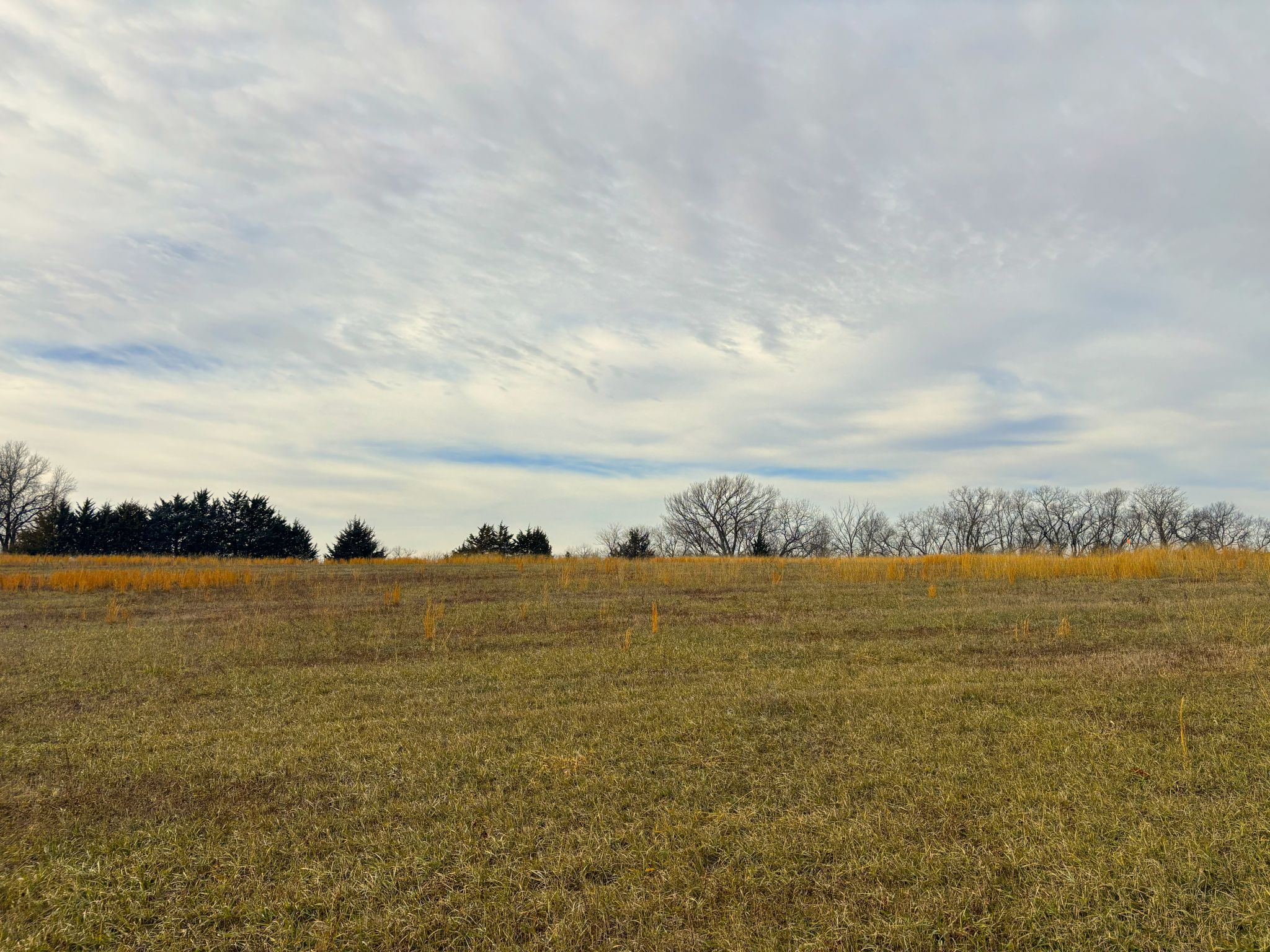 Tract 4 20251211_170502114_iOS