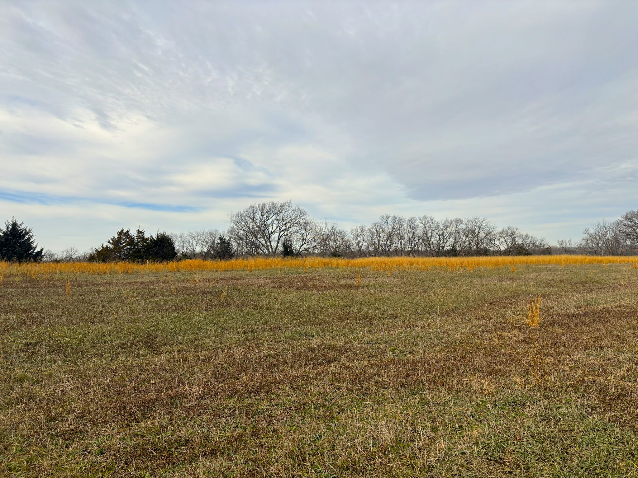 Tract 4 20251211_170557683_iOS