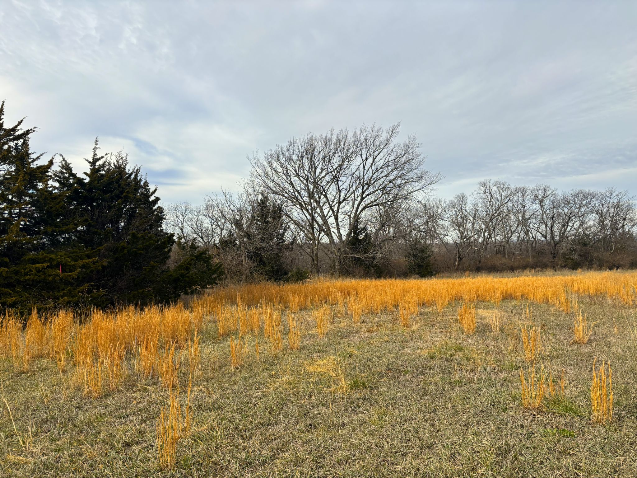 Tract 4 20251211_170709219_iOS