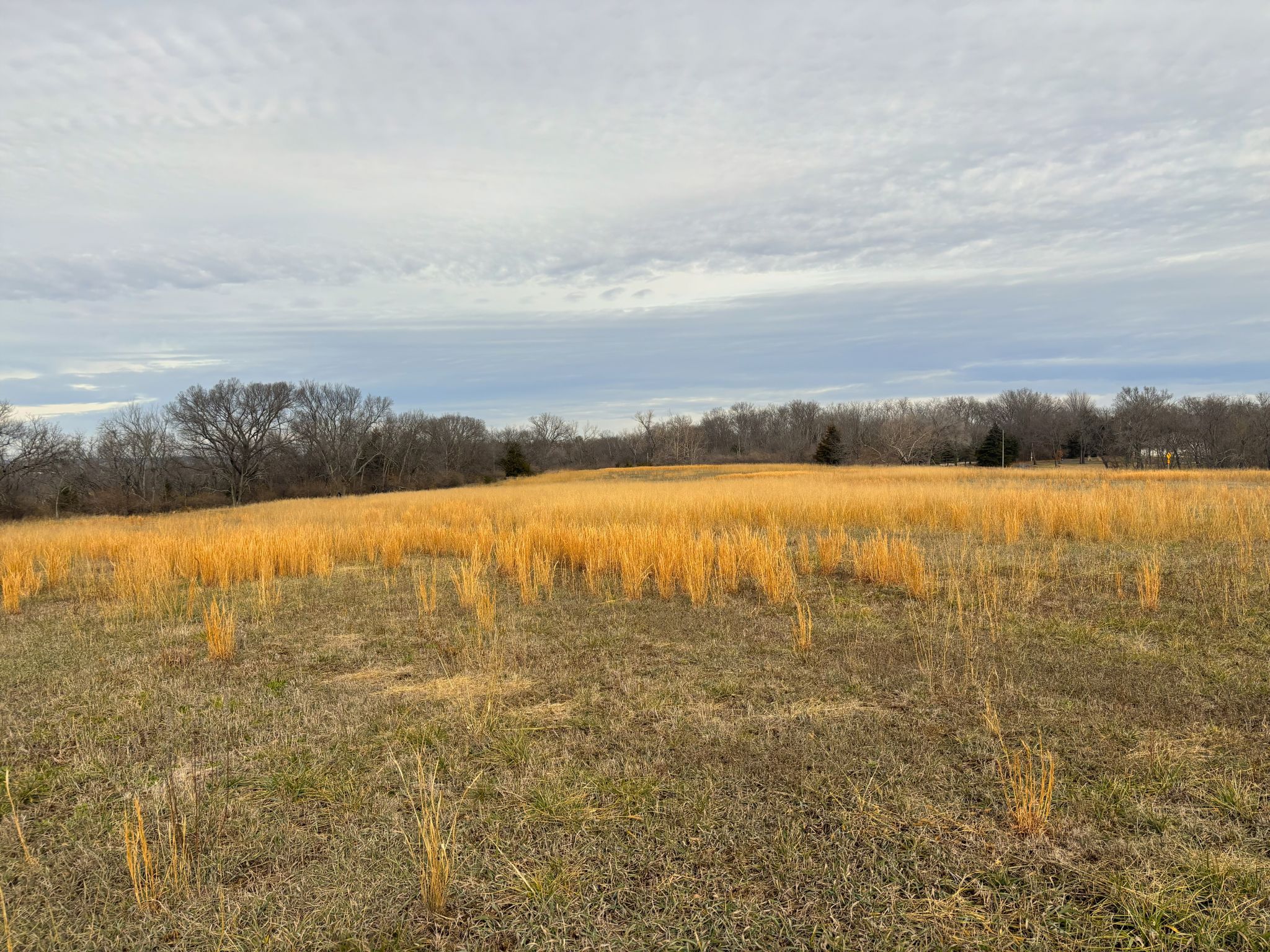 Tract 4 20251211_170710563_iOS