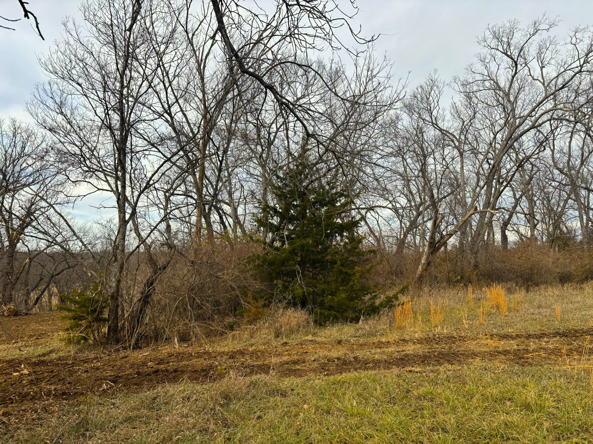 Tract 4 20251211_170854726_iOS 1