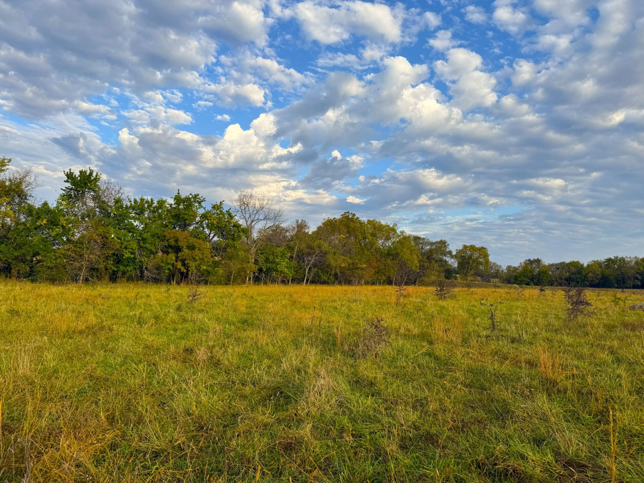 Tract 5 20251015_134046677_iOS