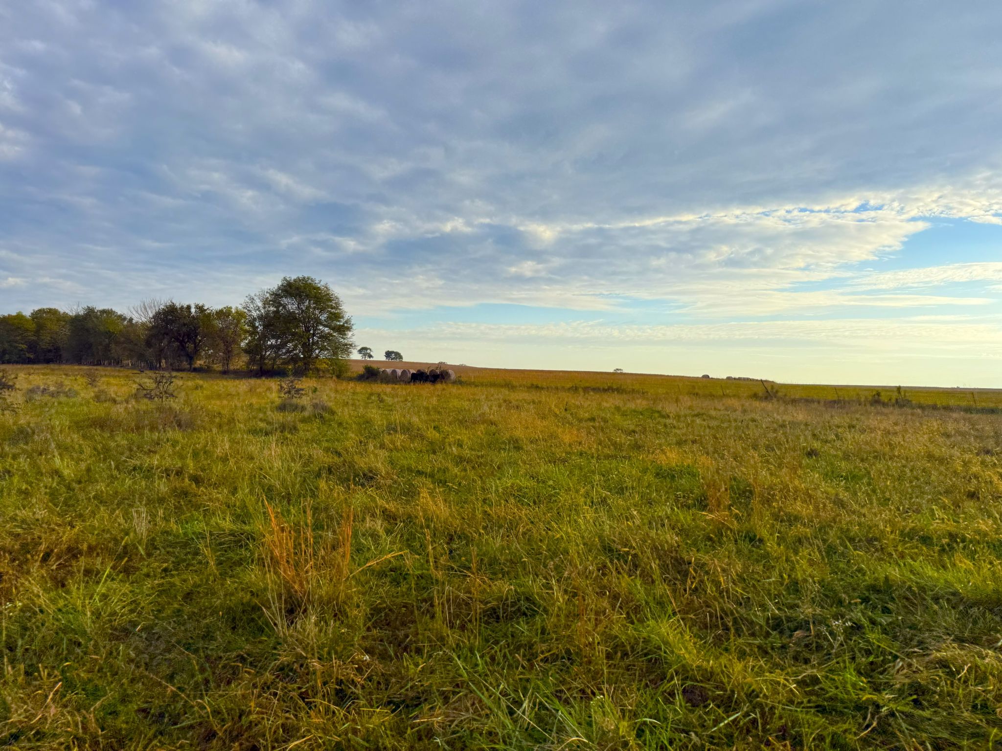 Tract 5 20251015_134048128_iOS