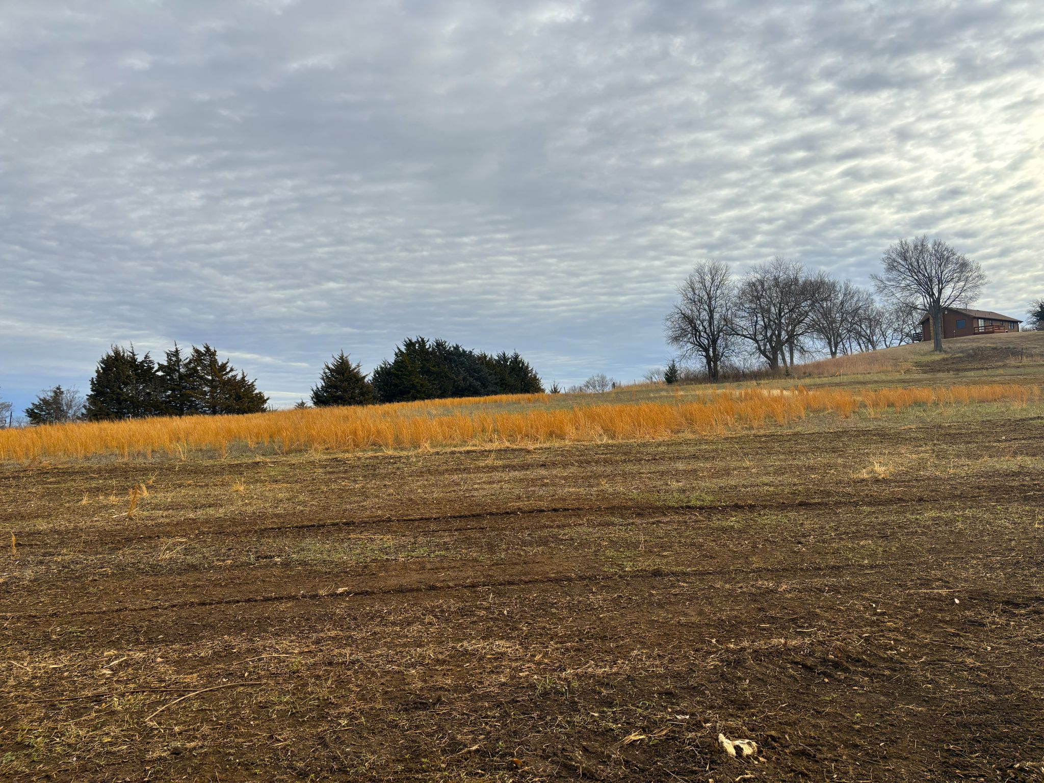 Tract 5 20251211_171219274_iOS