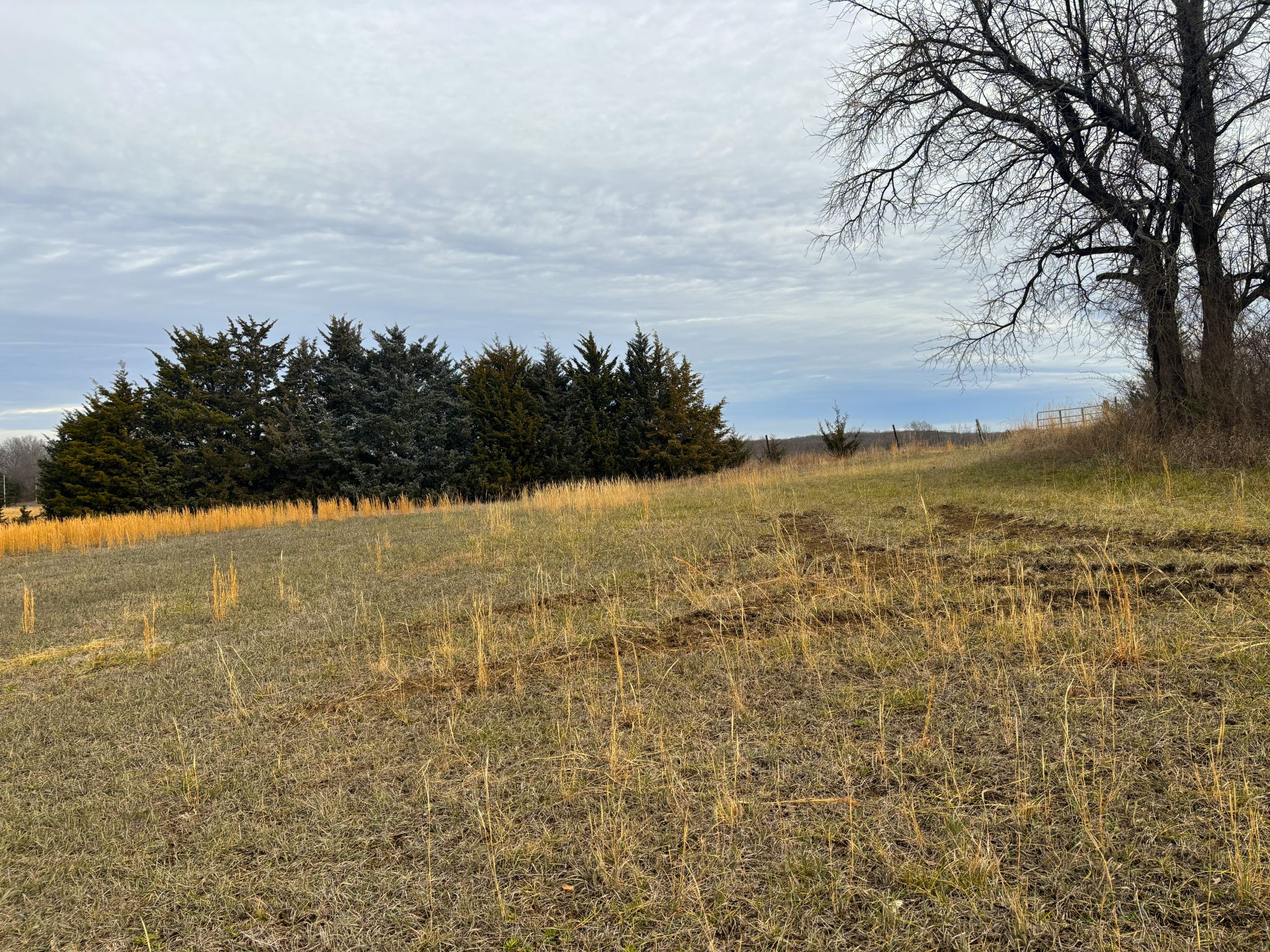 Tract 5 20251211_171336785_iOS