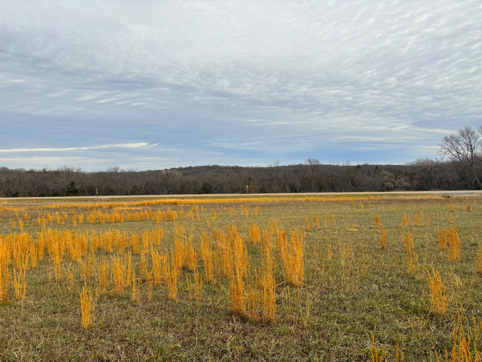 Tract 5 20251211_171511821_iOS